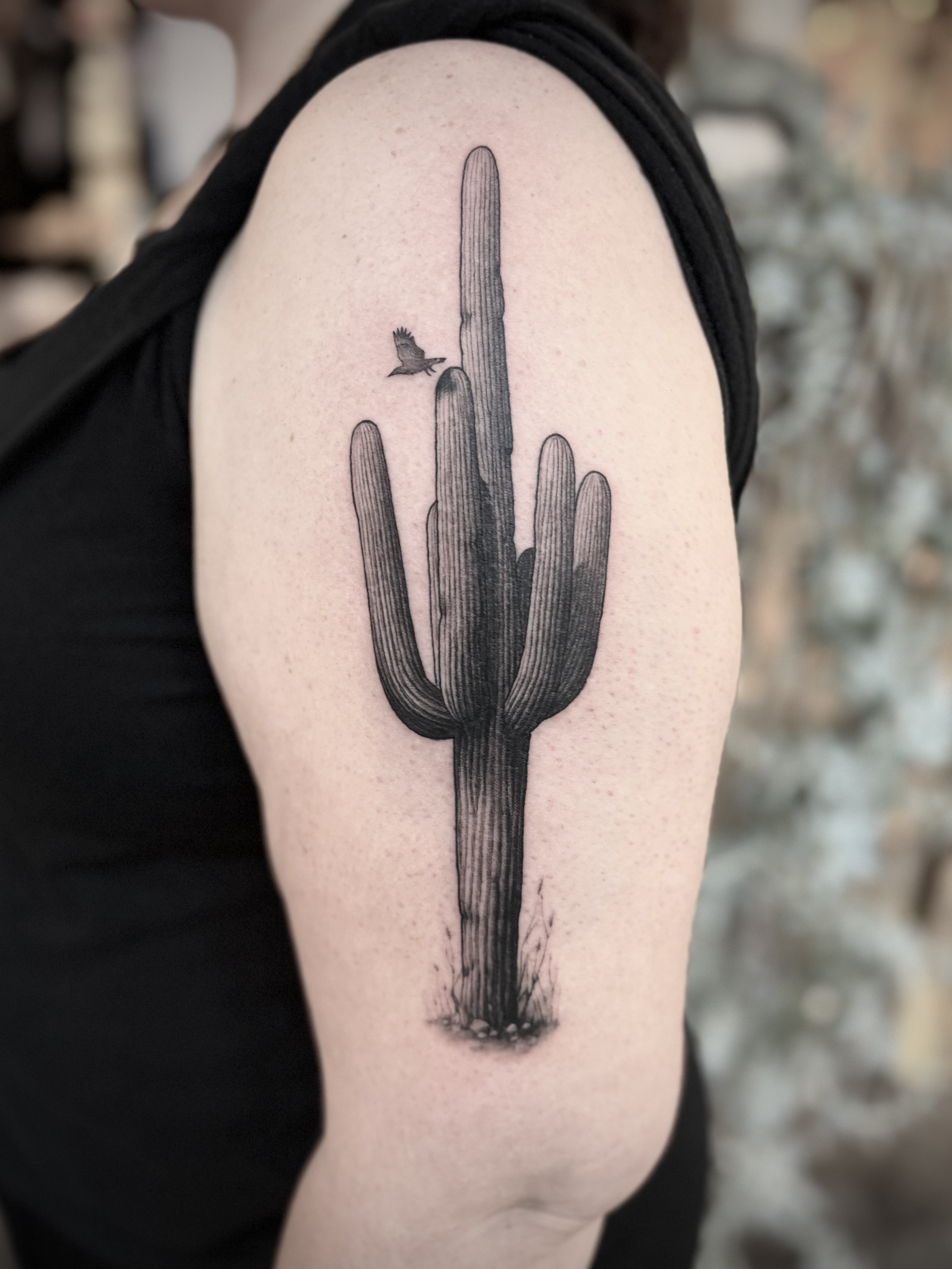 Tattoo of a cactus with a bird flying nearby on a person's upper arm.
