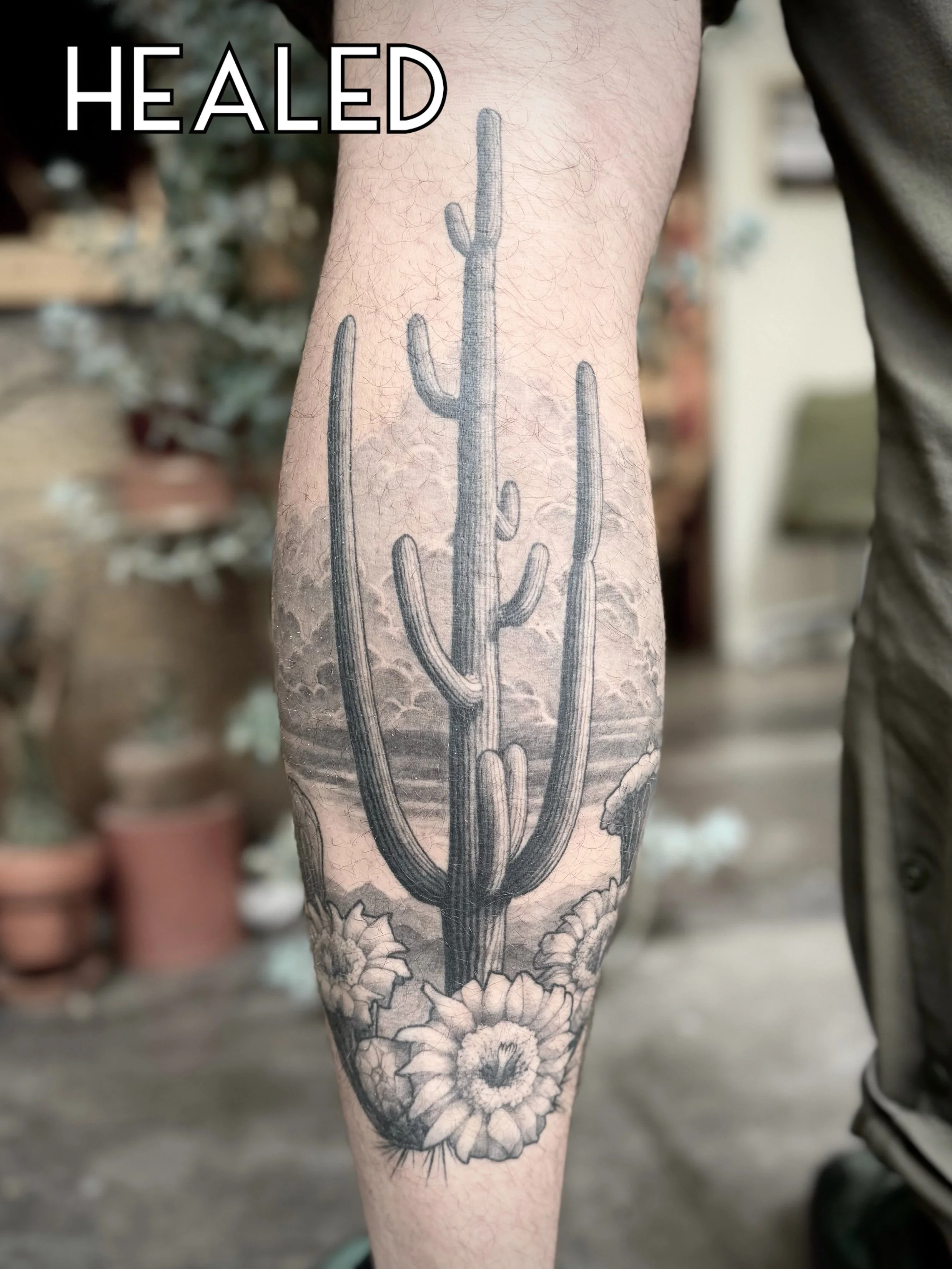 A tattoo of a tall cactus with multiple arms, surrounded by flowers, on a person's forearm.