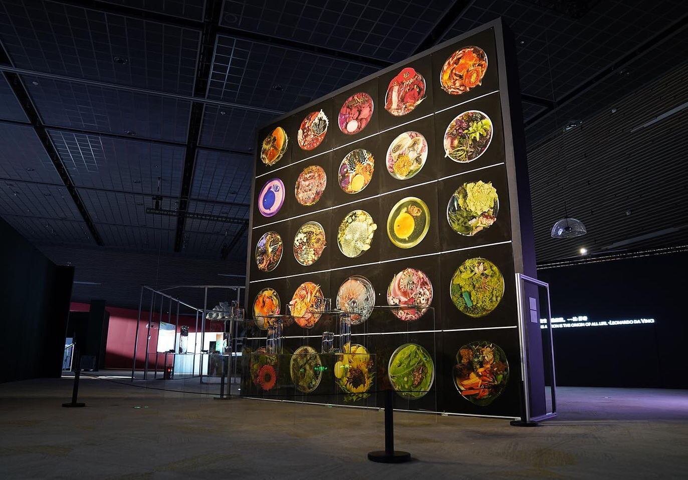 &ldquo;Vanitas (in a Petri dish)&rdquo; is being displayed on a towering free-standing wall in Shanghai at &ldquo;The Interface Between Humanity and the Universe v3.0&rdquo; - Curated by @ziyang_wu_art 

#suzanneanker #bioart #sciart #artsci #naturea