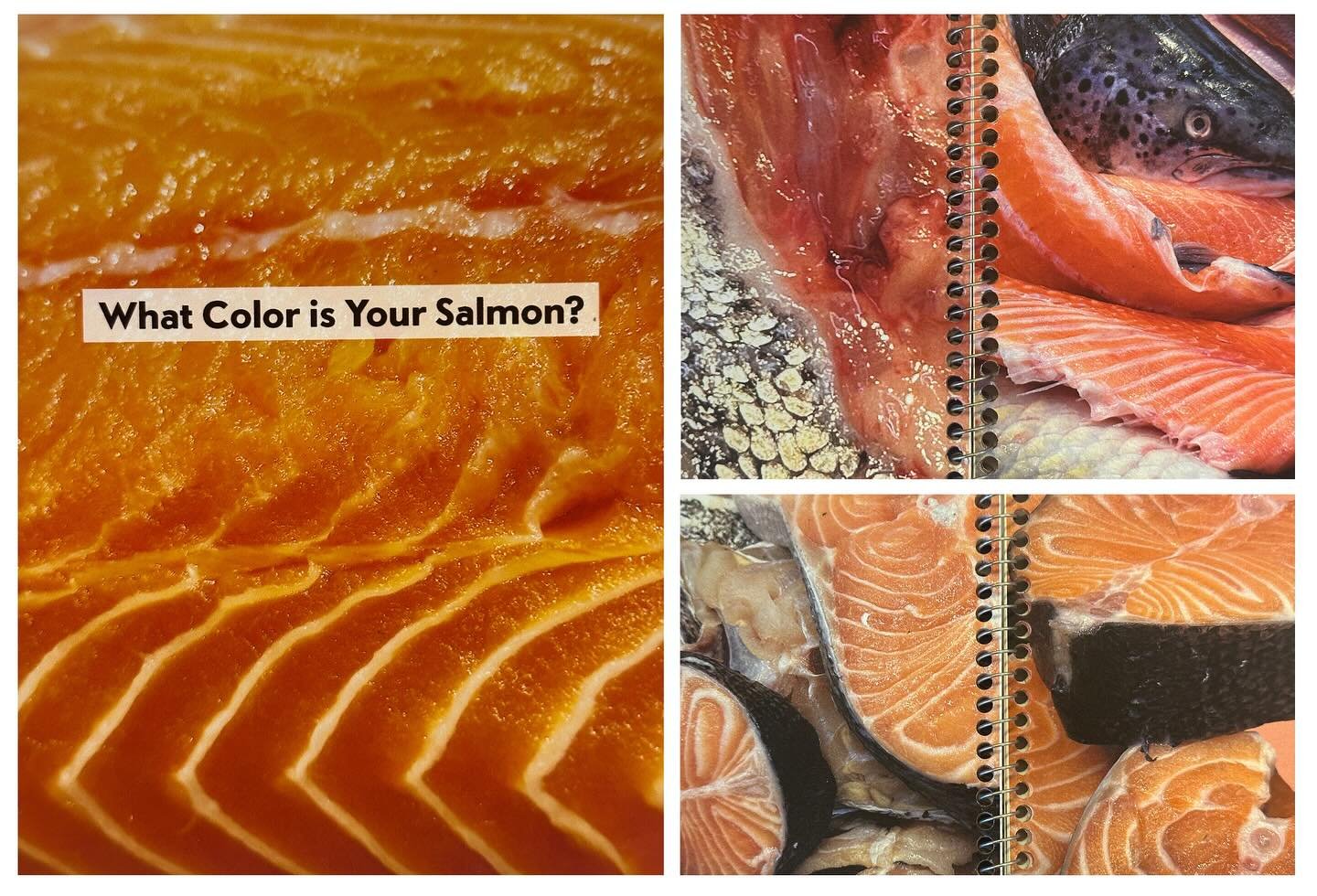 Did you know farmed salmon is naturally grey in color since they do not eat the same substances as wild salmon (krill and shrimp). In order to meet consumers&rsquo; expectations, farmers dye salmon with a range of orange pigments &mdash; often by emb