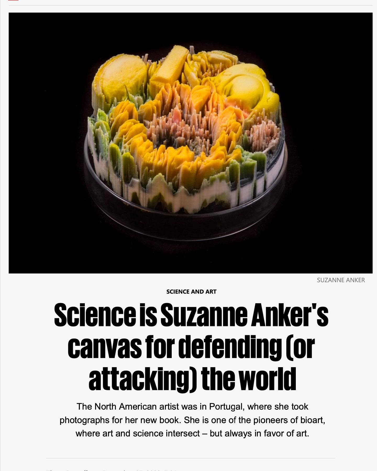 I was recently interviewed by @tiagomarquesramalho
for the Portuguese newspaper @publico.pt To read the full article, visit my web site at suzanneanker.com

#suzanneanker #bioart #sciart #artsci #natureandculture #artandtechnology #artandecology #env