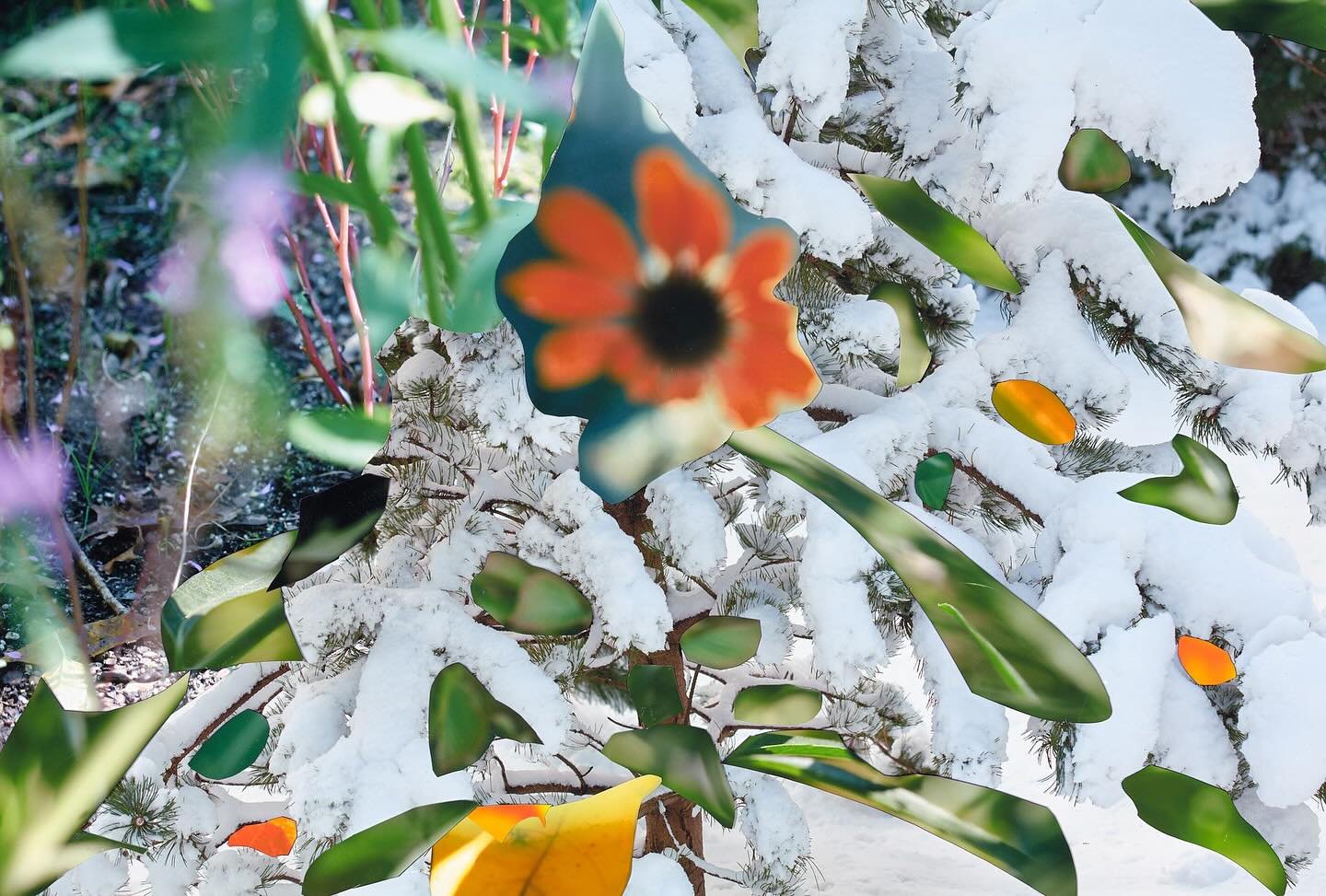 Happy Holidays in this time of climate change - 2025. 

#climatechange #happyholidays #suzanneanker