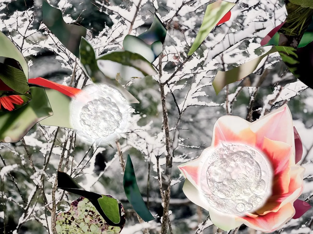 Why We Should All Be Feminists
Featuring When Crystals Spawn Flowers

Dec. 18, 2025 &ndash; Feb. 14, 2026
/SAC @ Malmaison
Bucharest, Romania

On view in Bucharest as part of Why We Should All Be Feminists, curated by Sabine Fellner and Alex Radu. Th