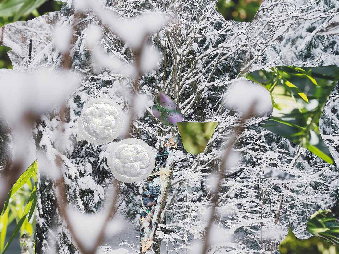 &ldquo;When Crystals Spawn Flowers&rdquo; （2024）

Installed in more than 10 museums, Bloom is an exhibition highlighting flowers and their relationship to humans. Bringing together the role of flowers amidst an ecological crisis, colonial aftermaths,