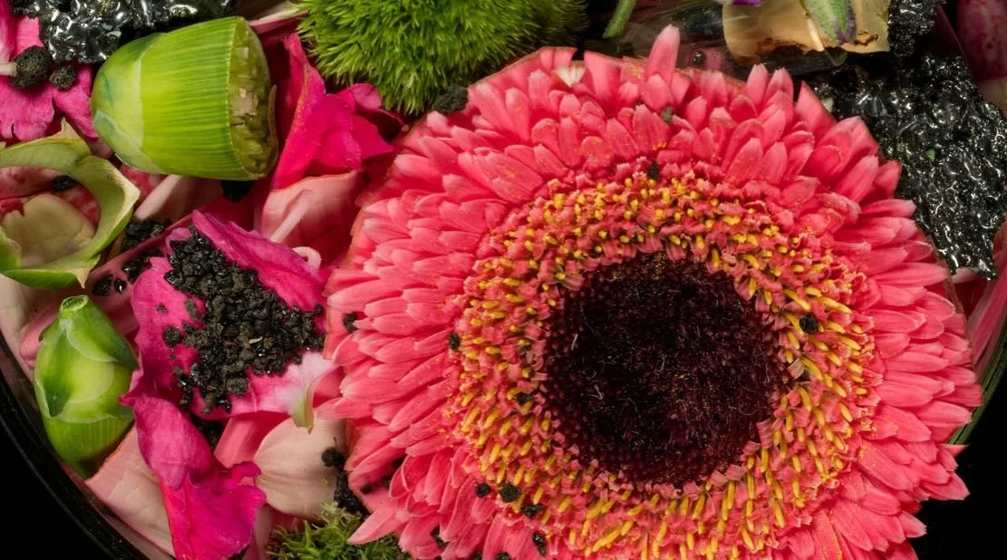 Analytical Beauty
April 24 to October 4, 2026

Neue Galerie, Graz, Austria

The concept of Analytical Beauty, primarily defined by William Hogarth in 1753, is the theory that beauty is not arbitrary but rooted in specific, analyzeable formal principl