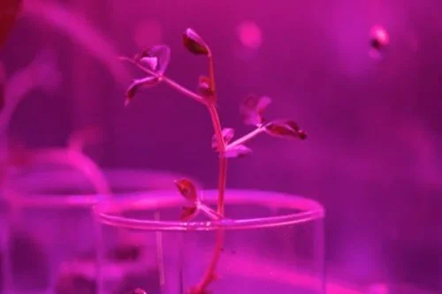 Life in Space
June 11 - Sep 13, 2026

Pier 15 (the Embarcadero at Green Street), San Francisco, CA 94111

Will humans survive the deadly rays, harsh temperatures, and near-total vacuum in outer space? &ldquo;Life in Space&rdquo; explores how life (hu