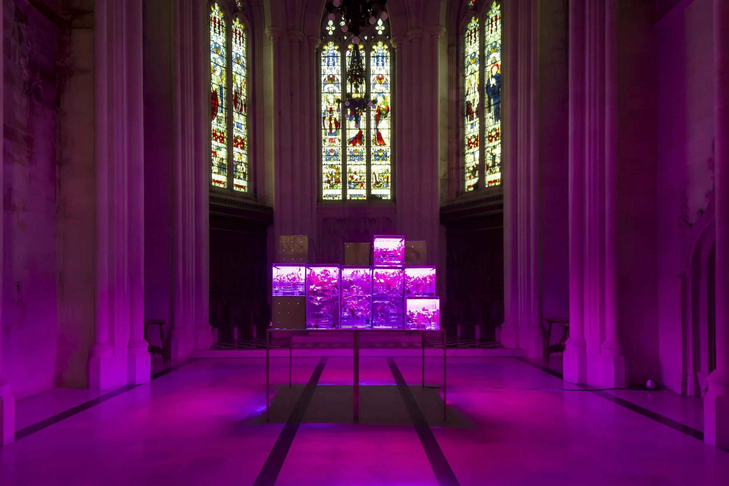 7. The Value of Food.JPG