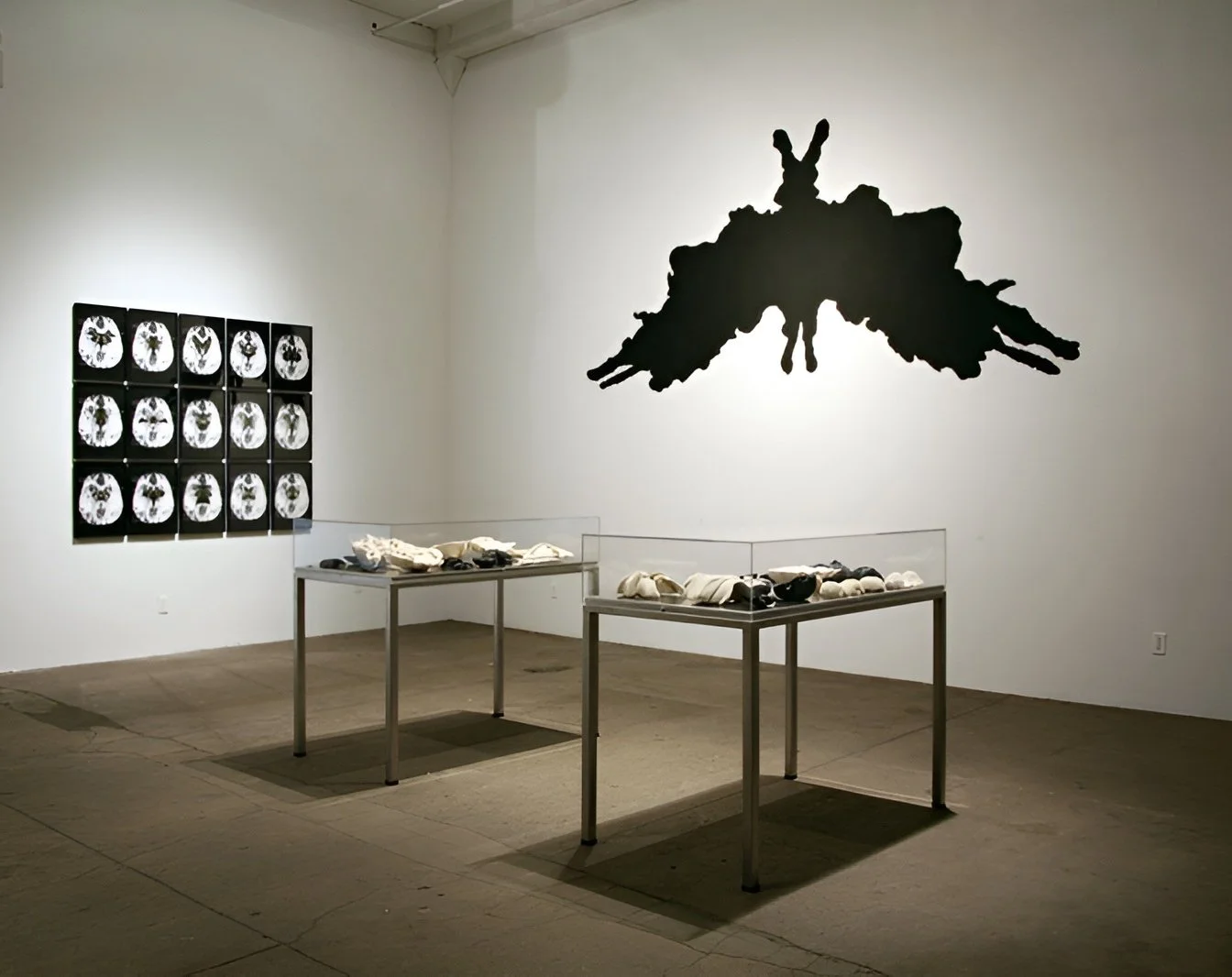 1. Butterfly in the Brain.JPG