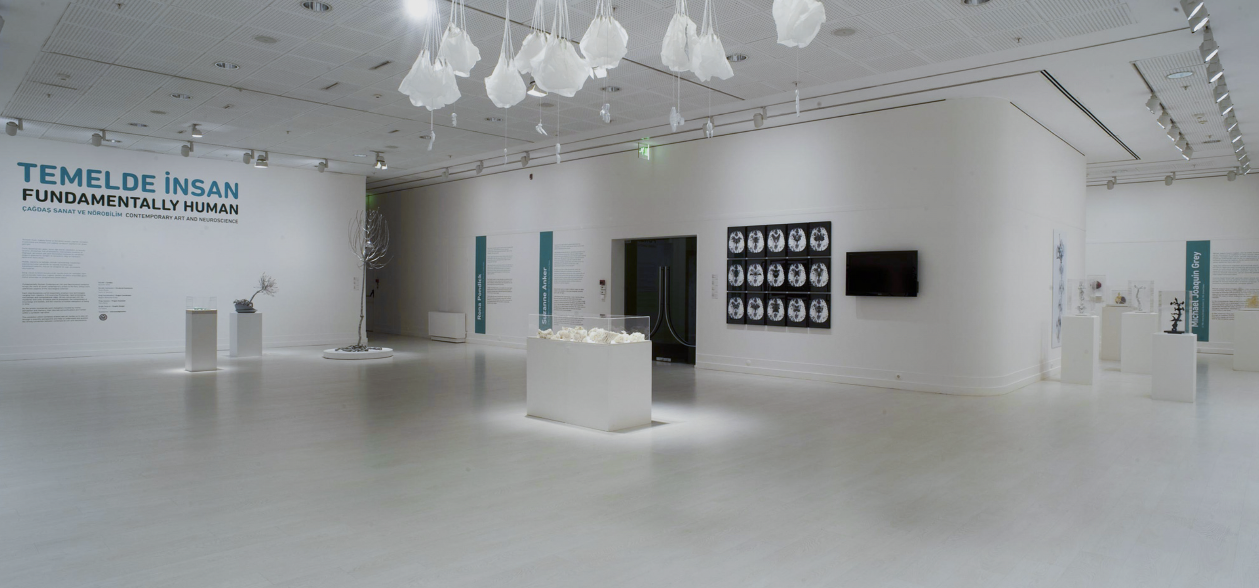 Fundamentally Human.png