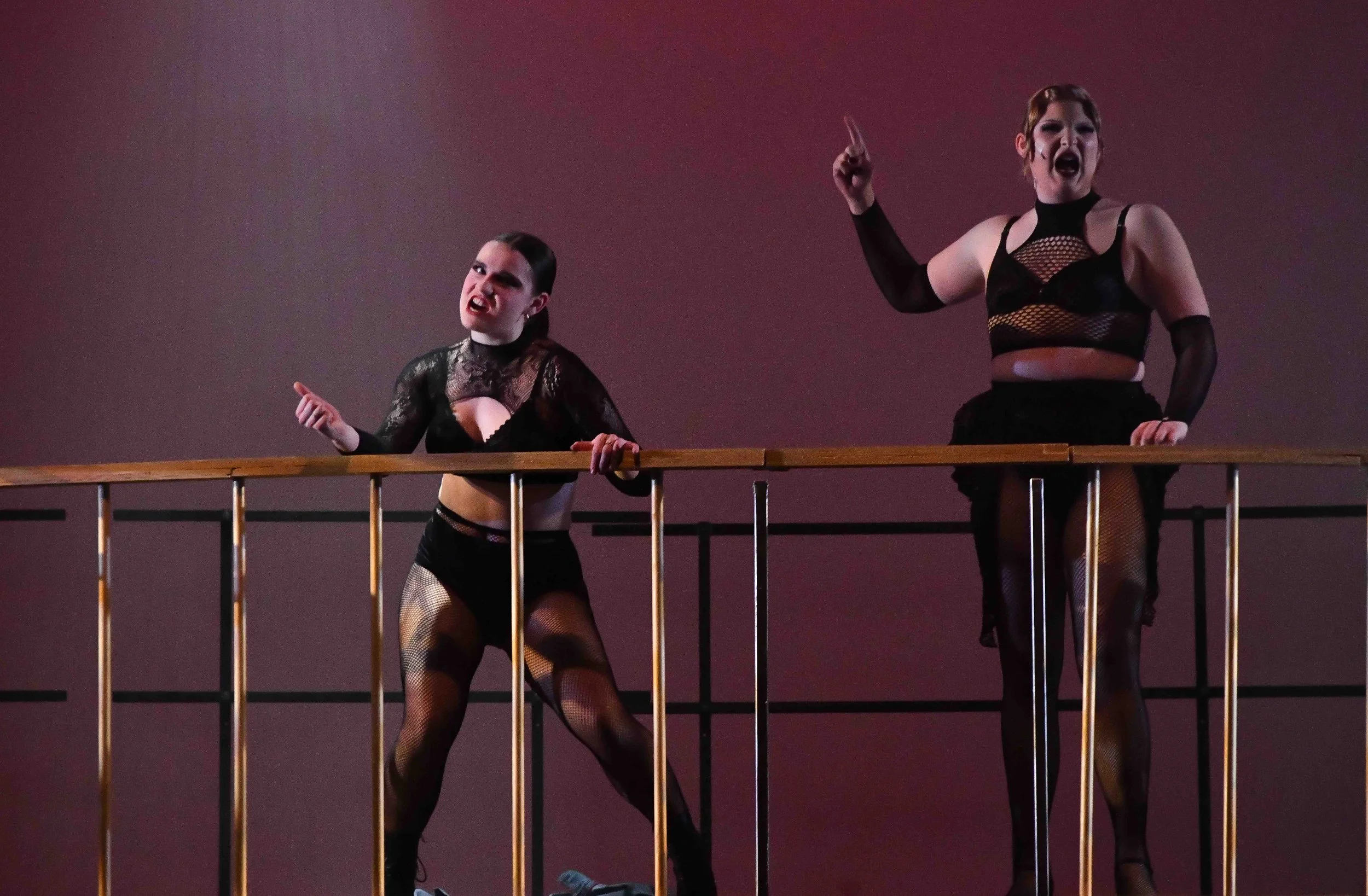 compressed cell block pic (2).jpg