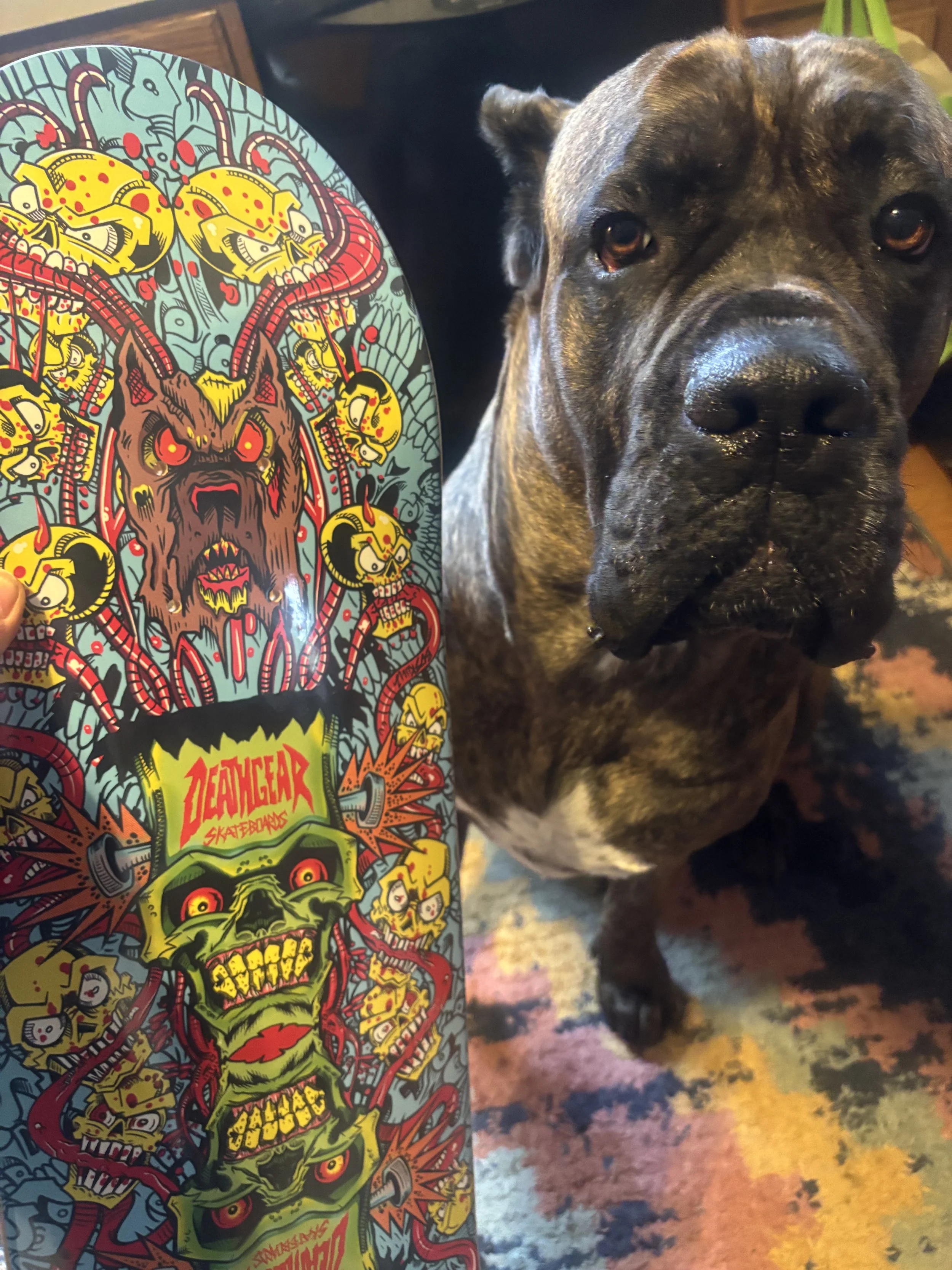 DEATHGEAR SKATEBOARDS~ ROT ON REPEAT SKATEBOARD DECK