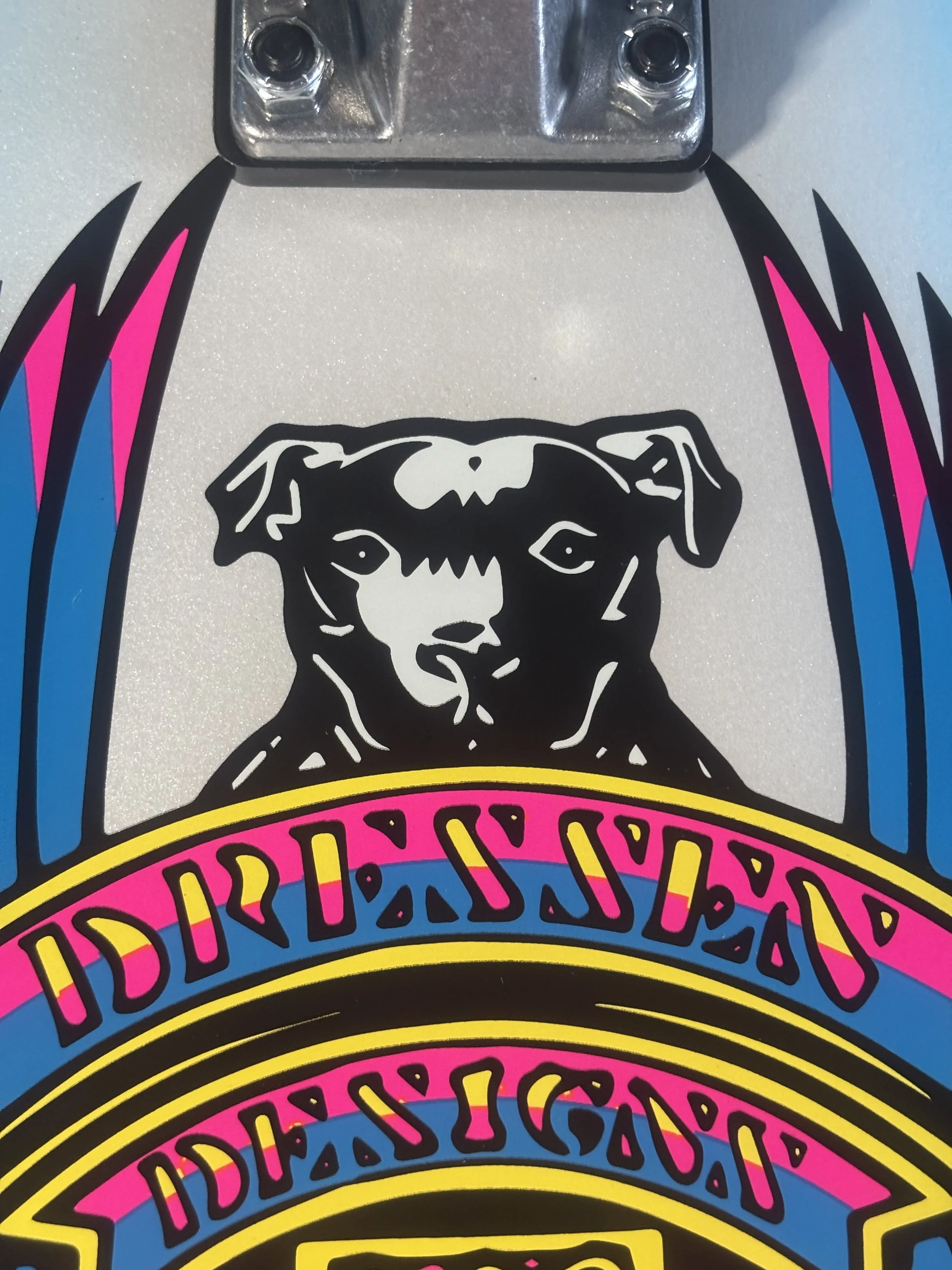 DOGTOWN~ ERIC DRESSEN MINI PUP CRUISER COMPLETE SKATEBOARD DECK