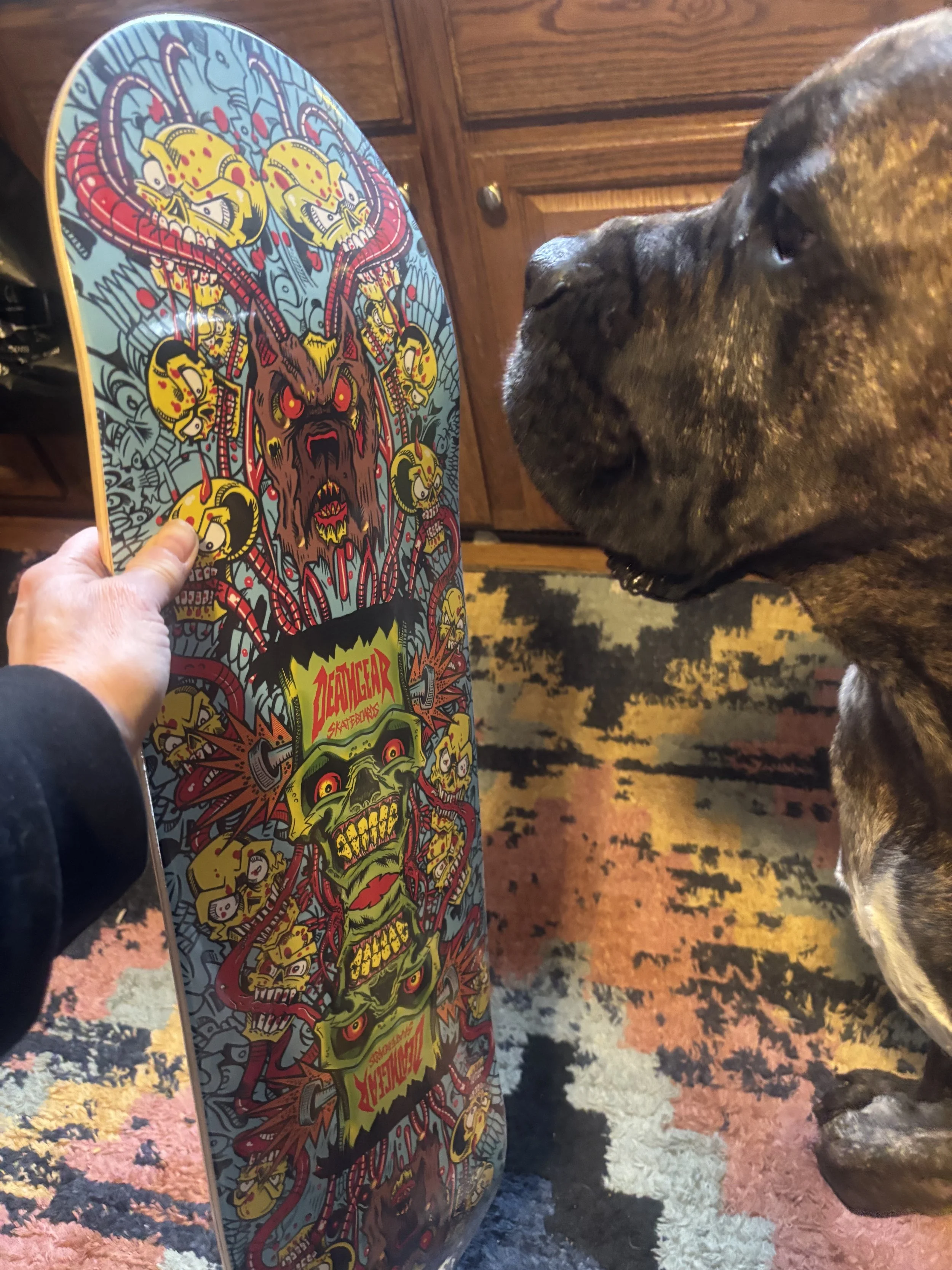 DEATHGEAR SKATEBOARDS~ ROT ON REPEAT SKATEBOARD DECK