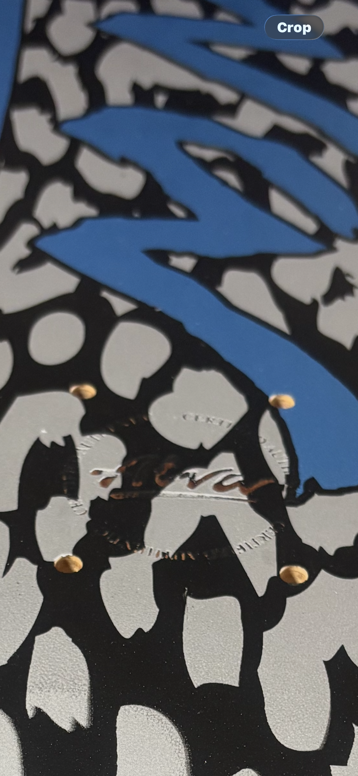 ALVA~ 1979 LEOPARD METALLIC BLUE SKATEBOARD DECK