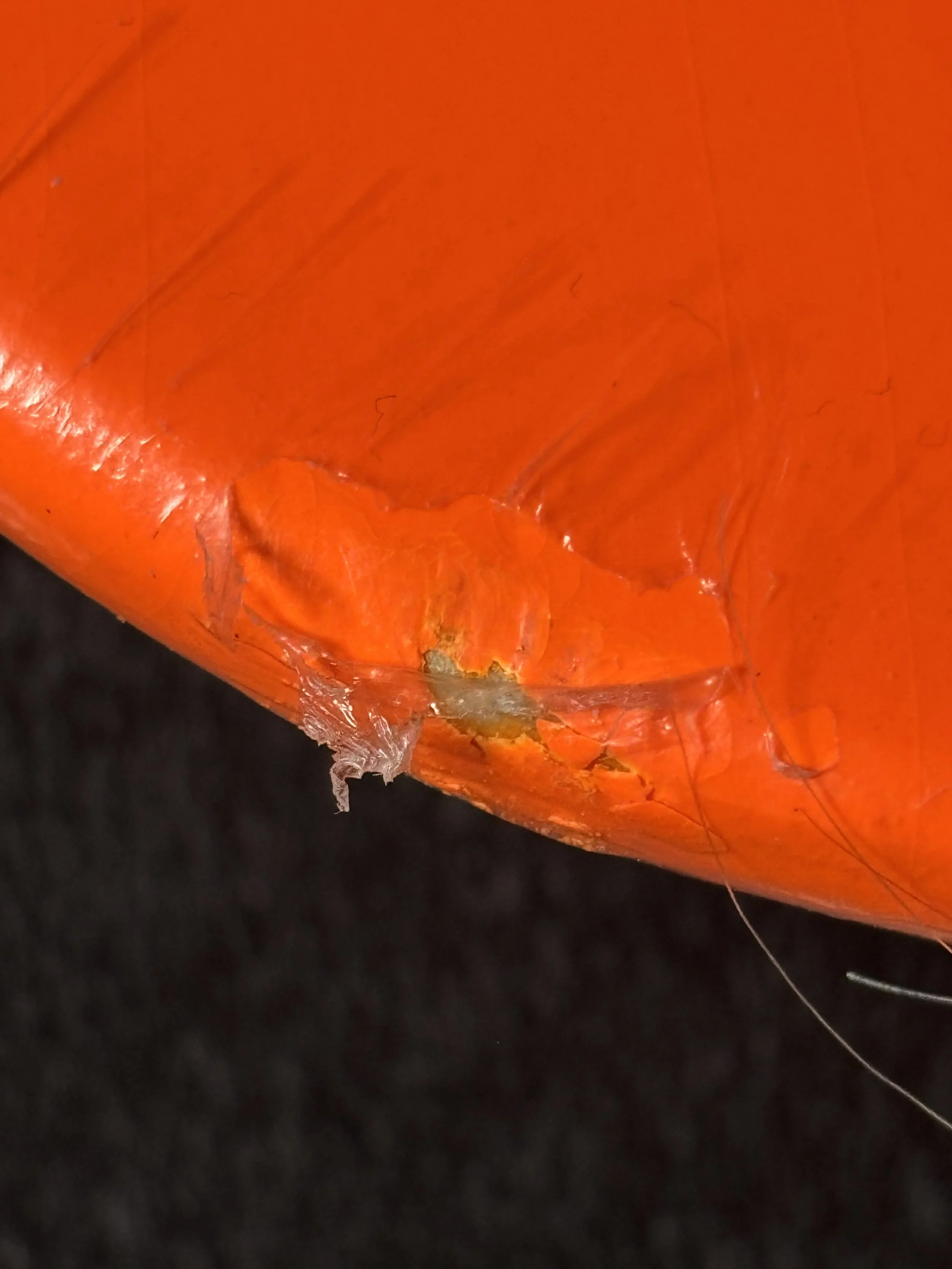 BLEMISHED DOGTOWN~ BIGGEST BOY ORANGE SKATEBOARD DECK