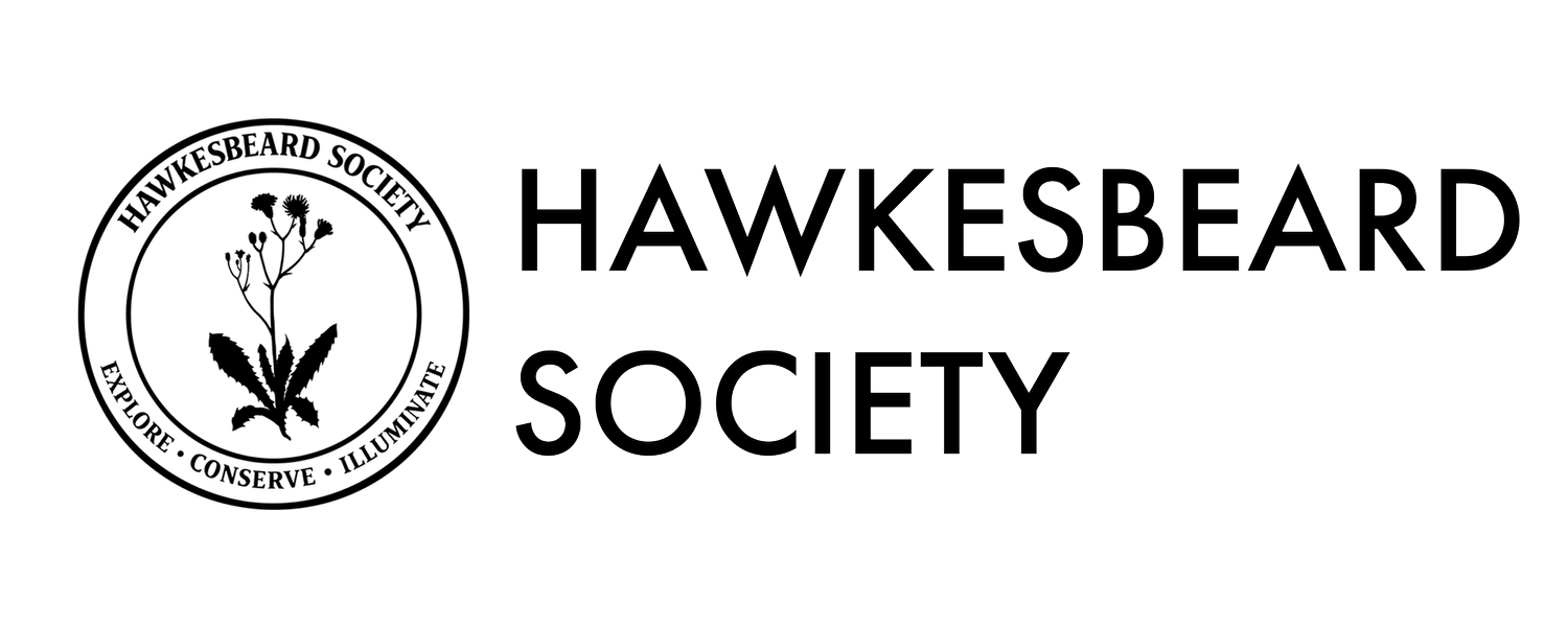 The Hawkesbeard Society
