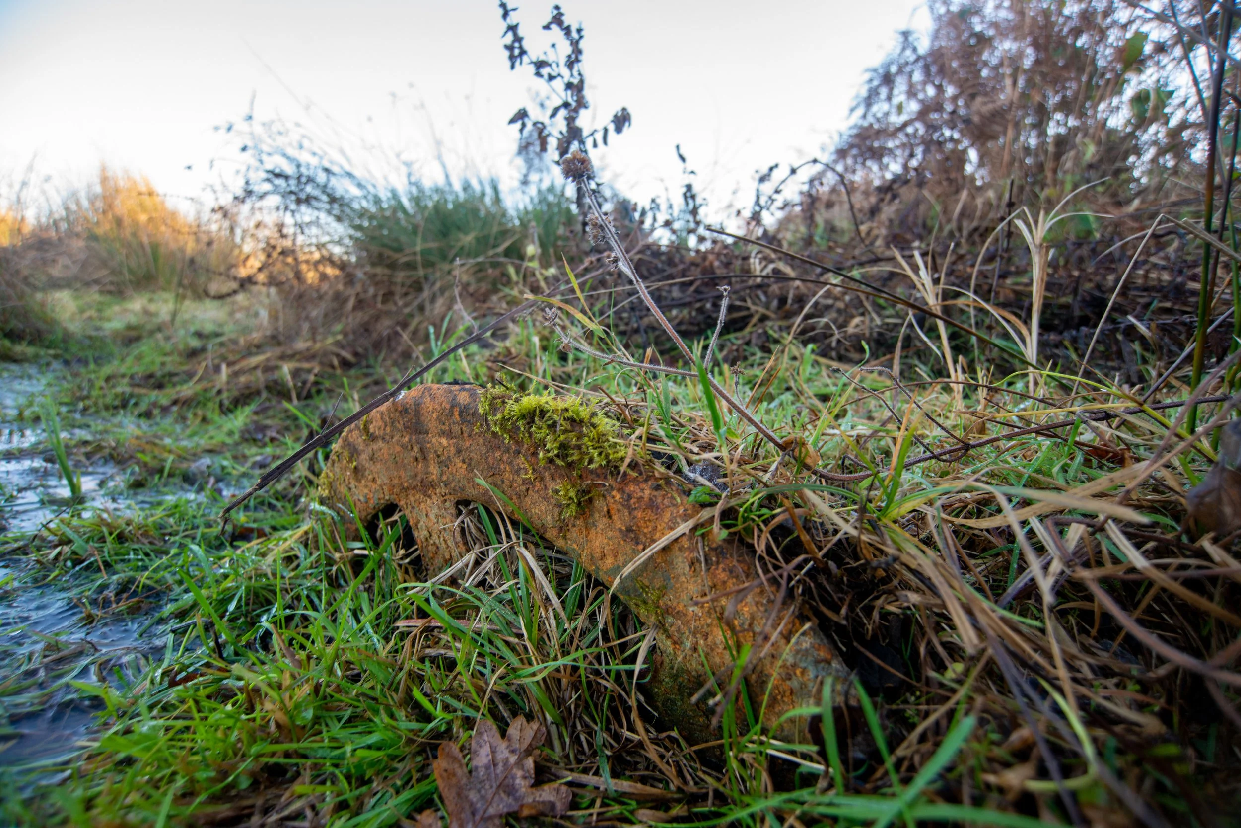 Grimston Warren railway