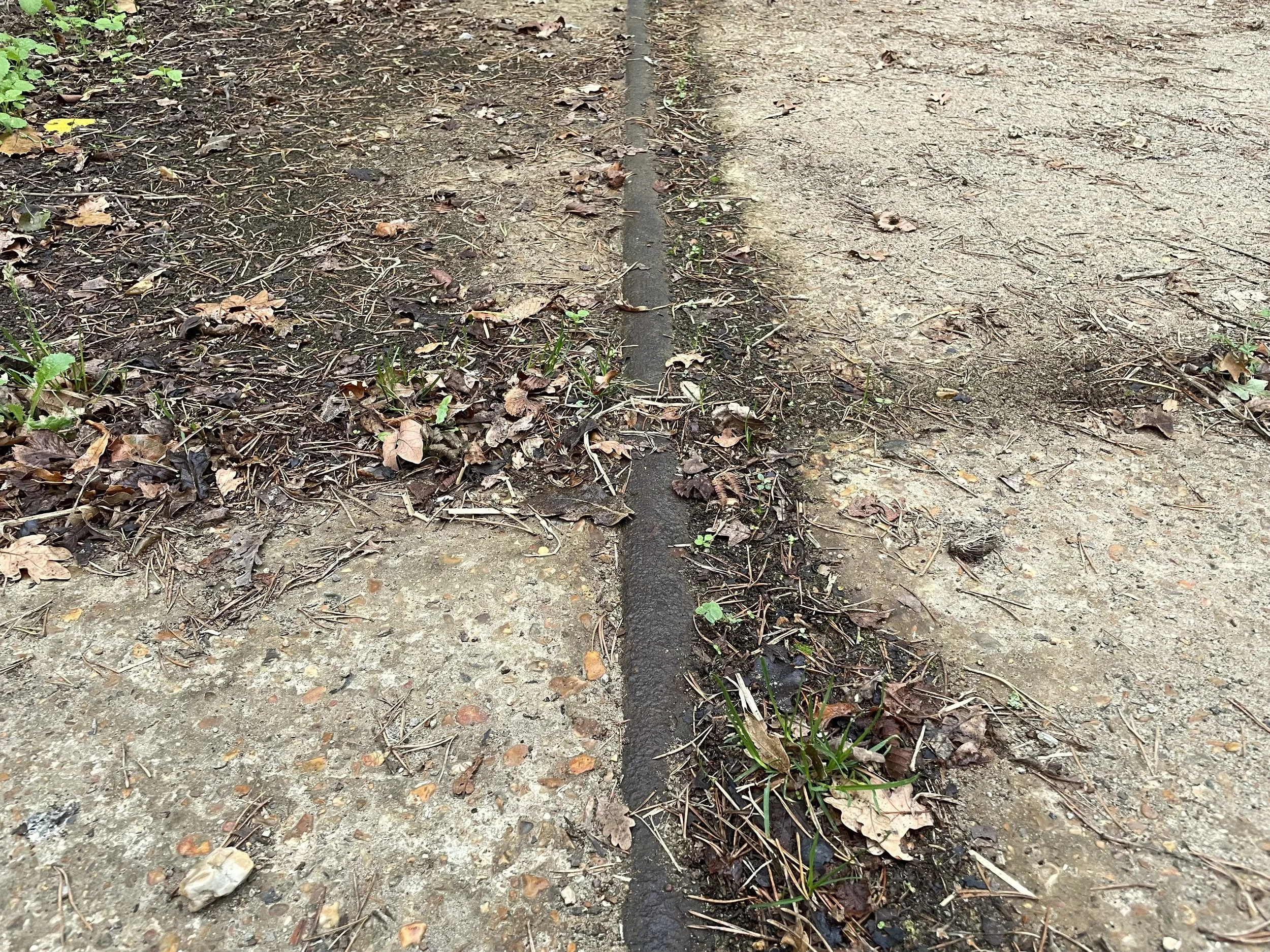 Bawsey Leziate sand works