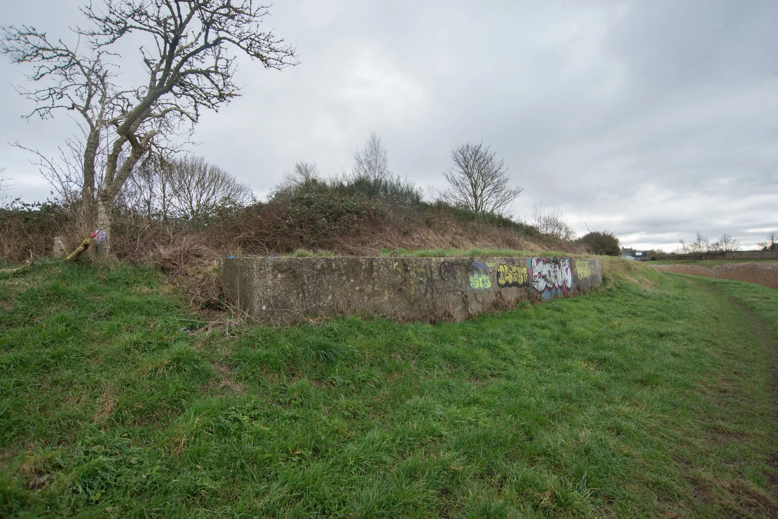 Kings Lynn Harbour railway
