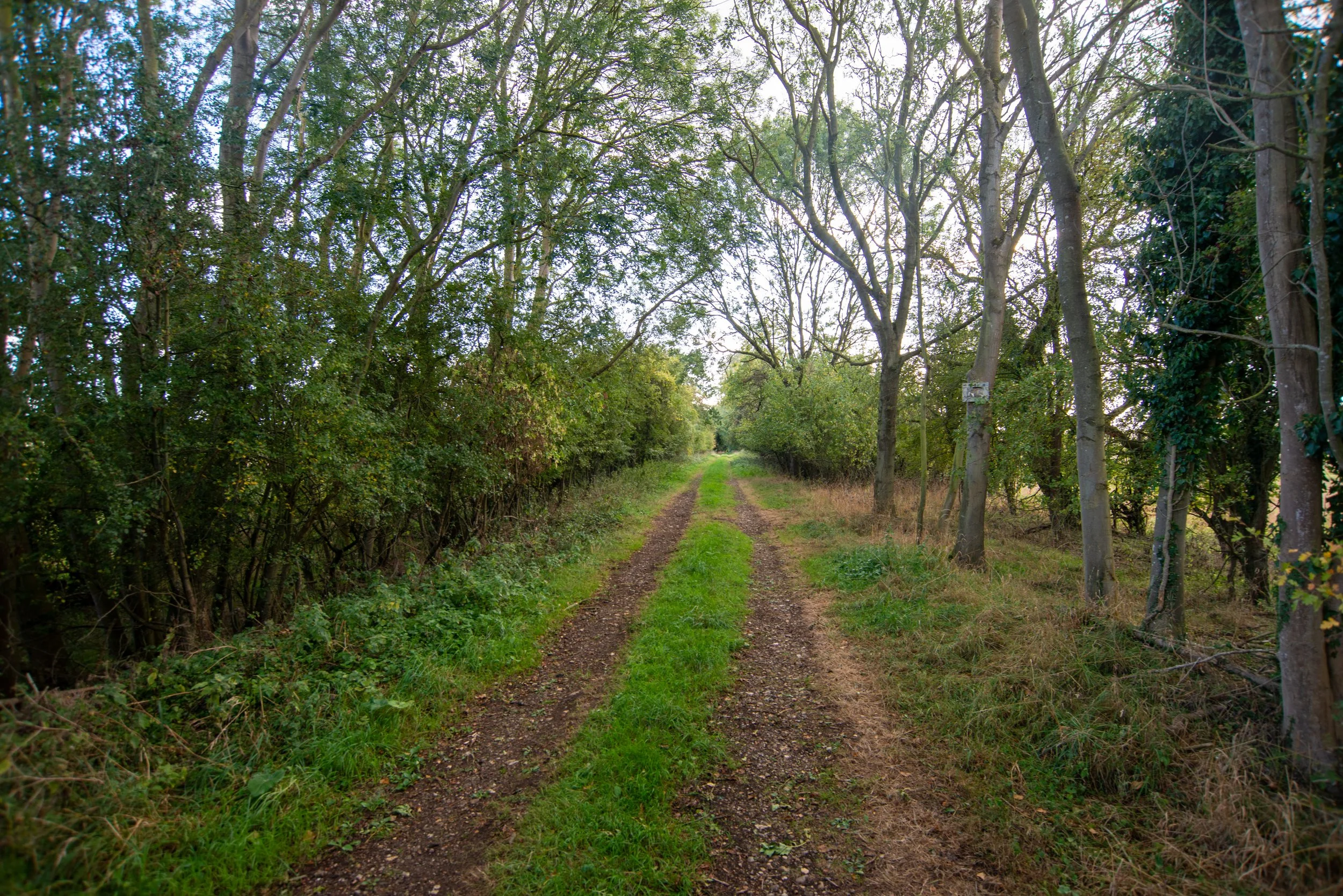 Grimston Warren railway
