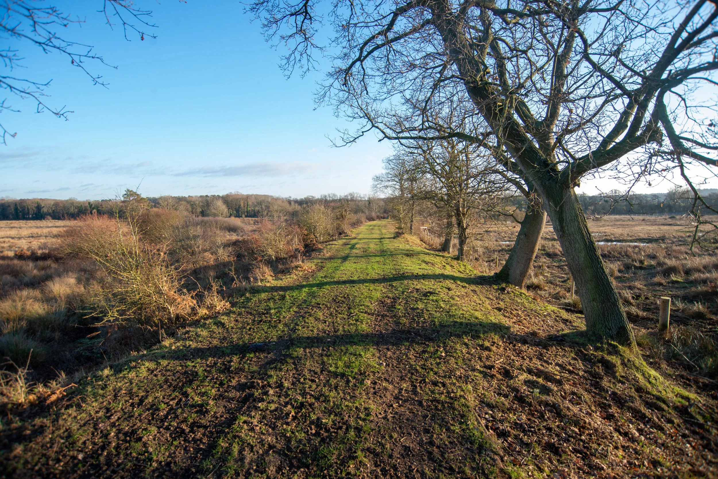 Grimston Warren railway