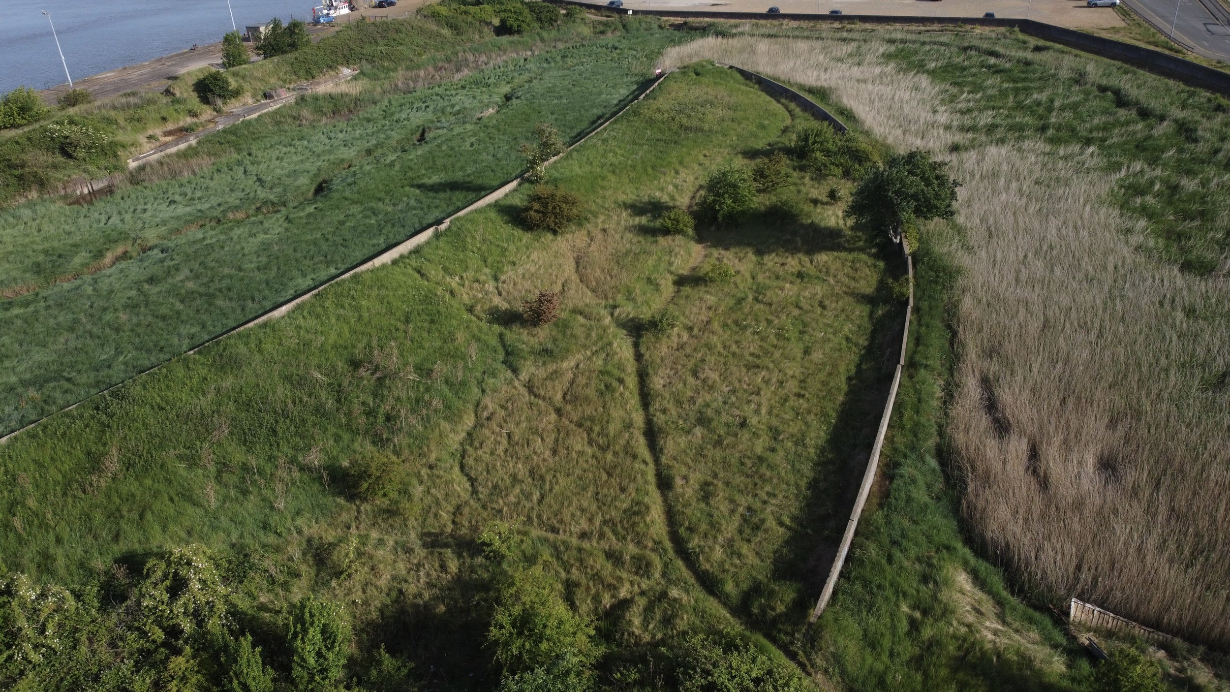 Kings Lynn Harbour railway