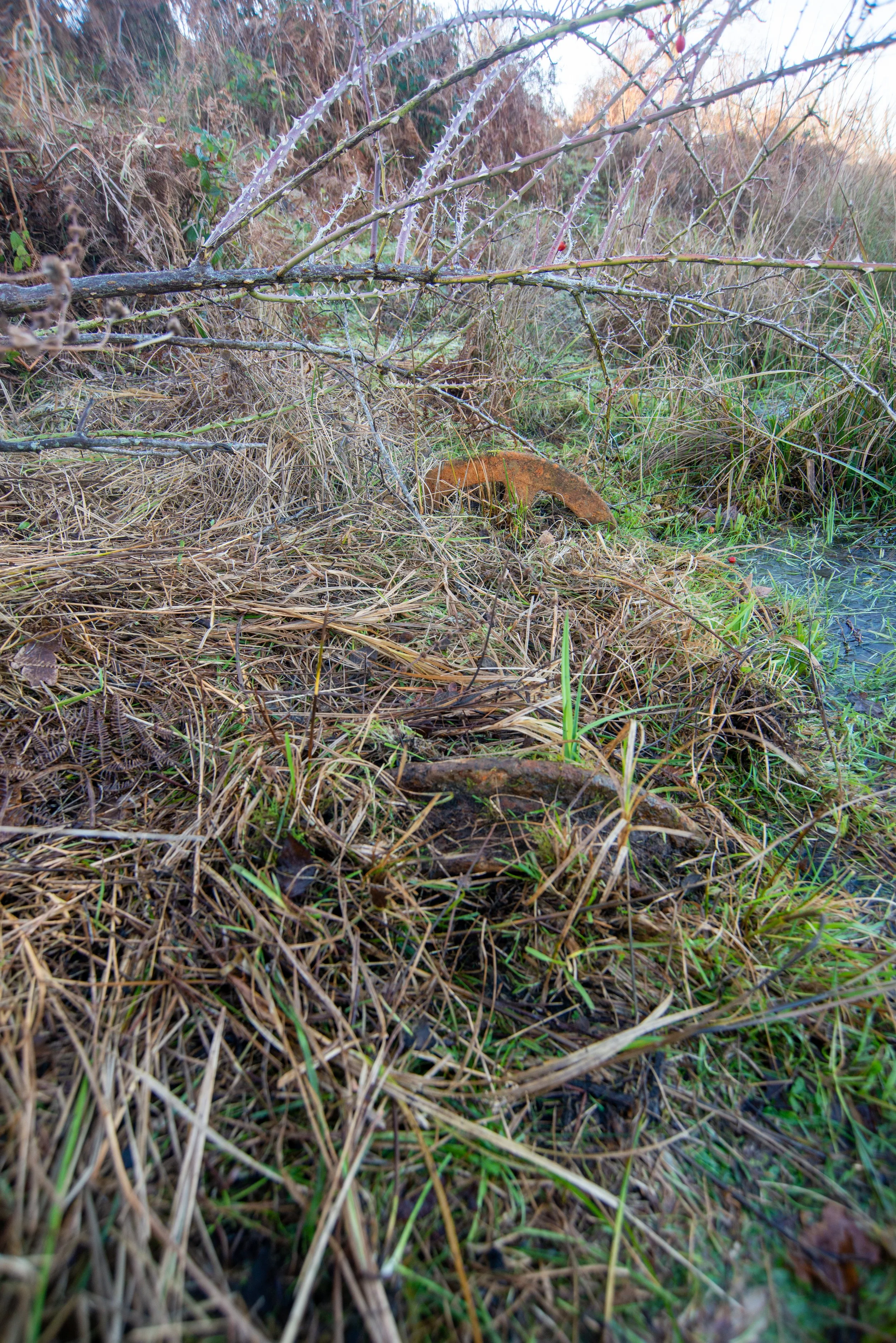 Grimston Warren railway