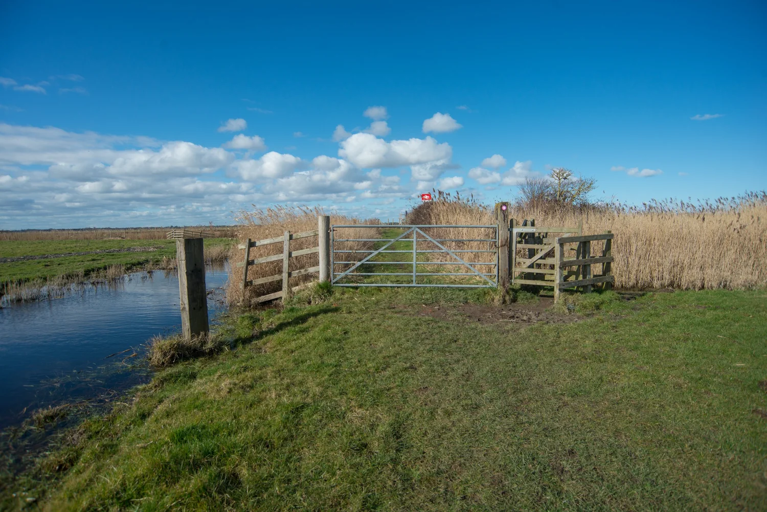 BERNEY ARMS | WHERRY LINE | NORFOLK | RAILWAY | UK — NORFOLKS DISUSED ...