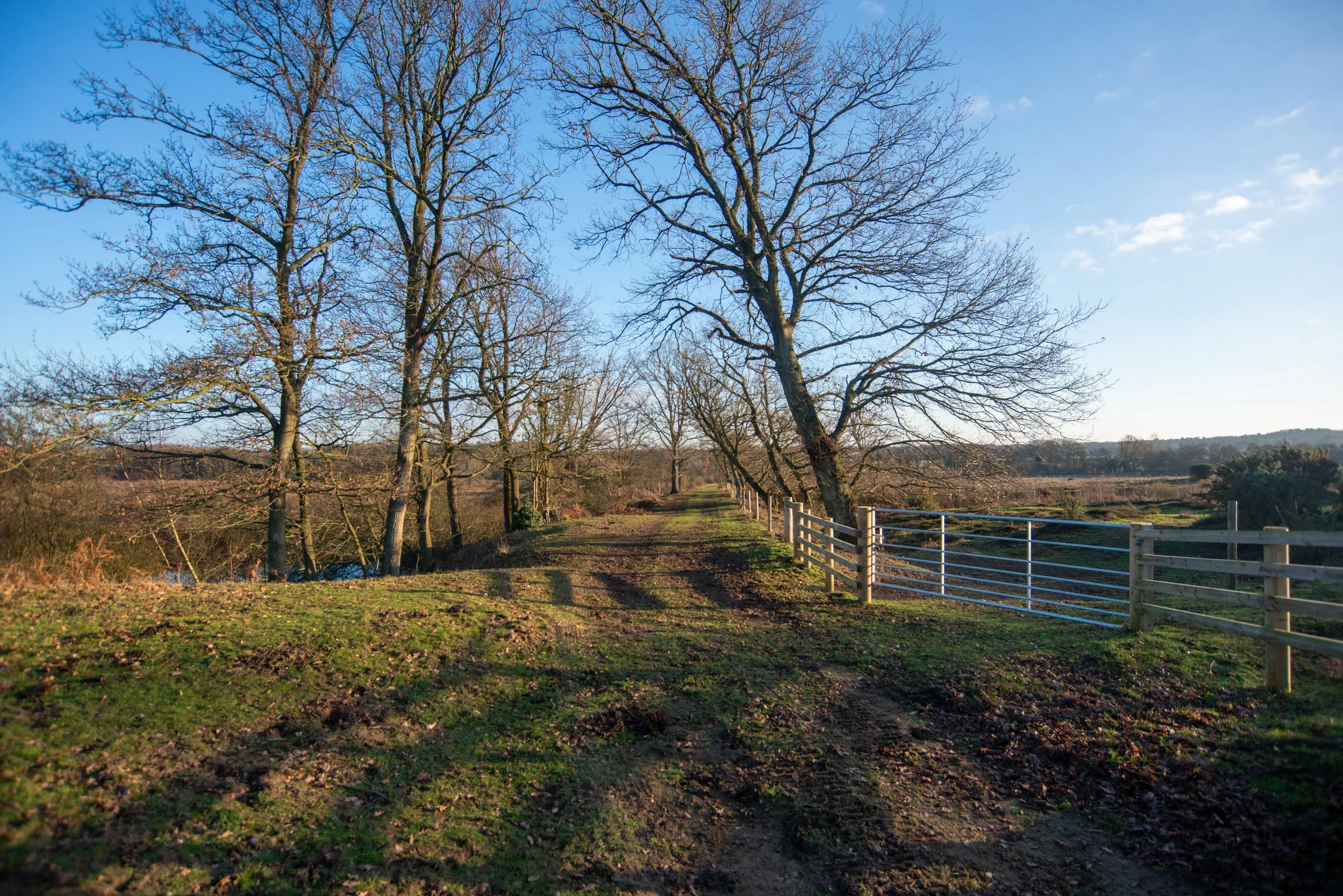Grimston Warren railway