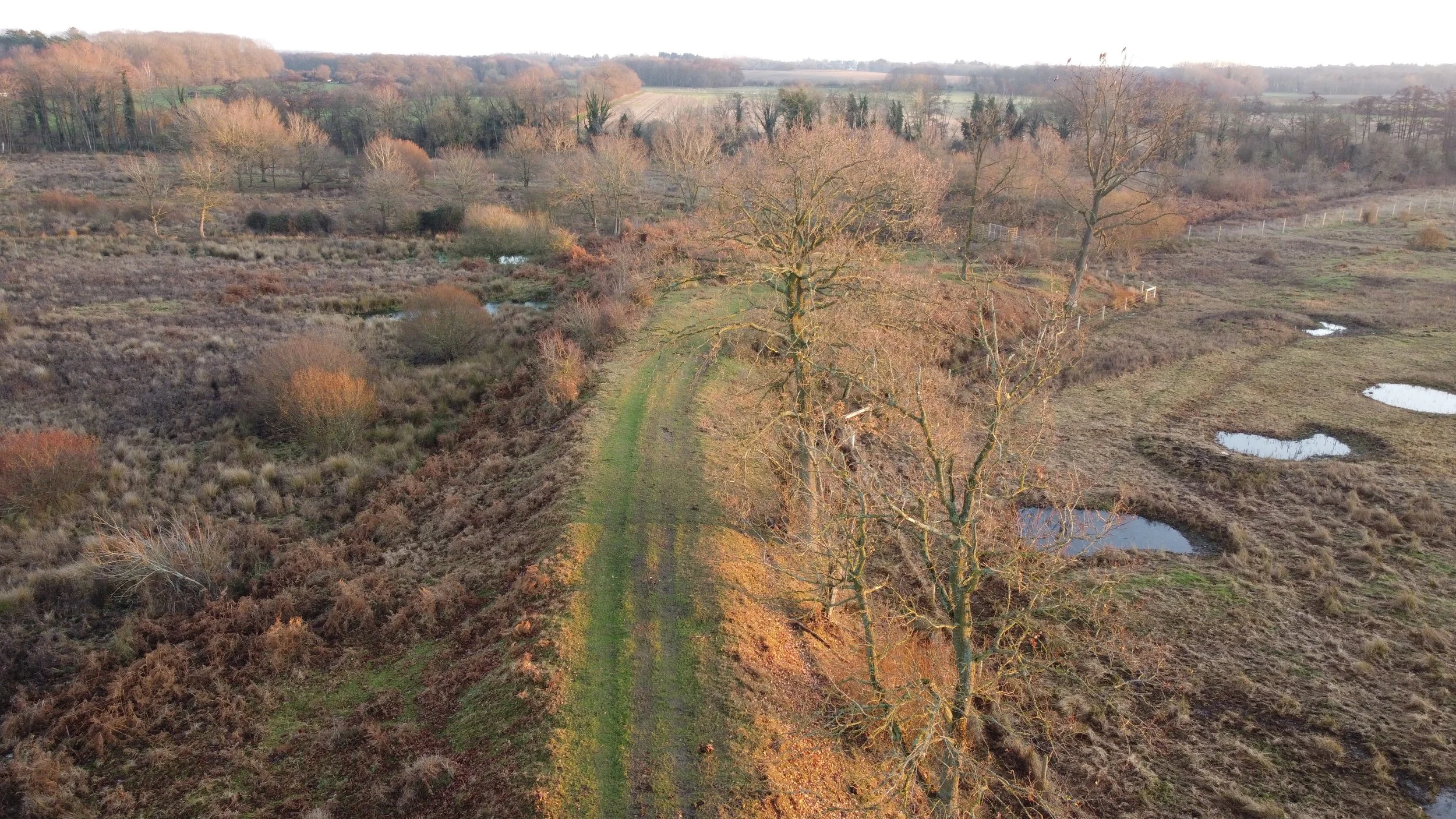 Grimston Warren railway