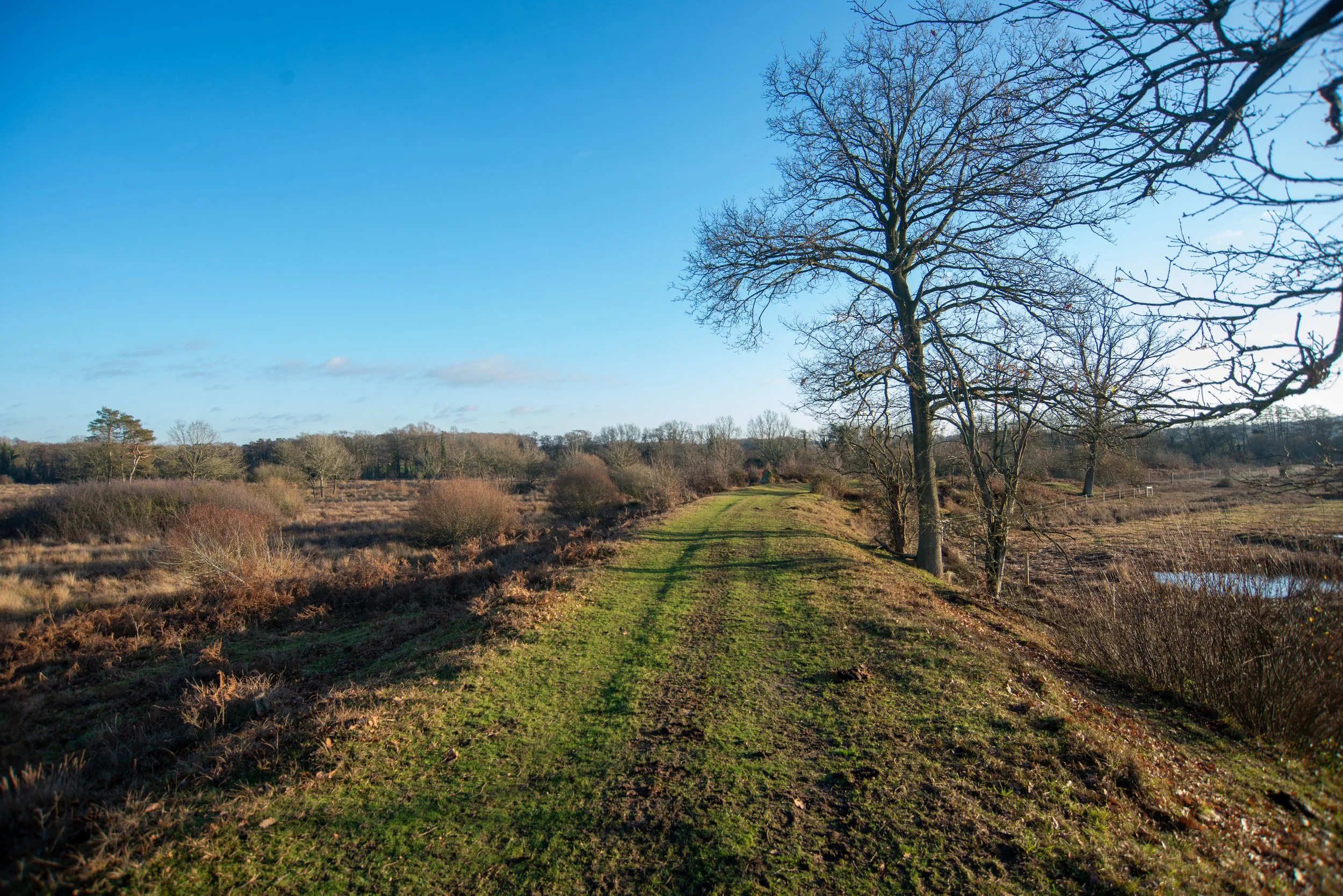 Grimston Warren railway