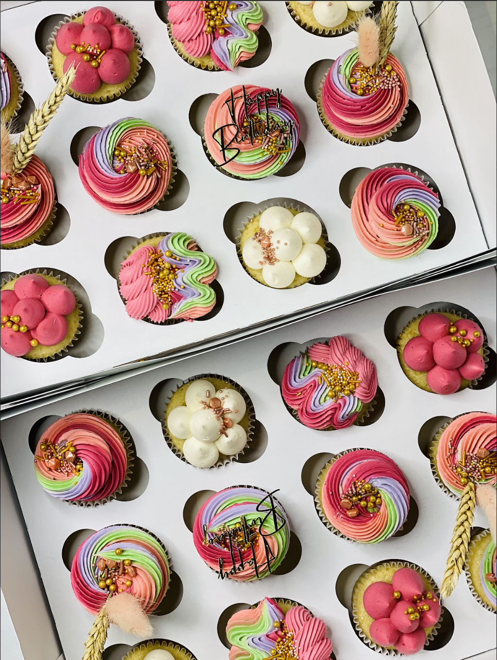 Screen Shot 2023-04-14 at 12.33.15 PM.png