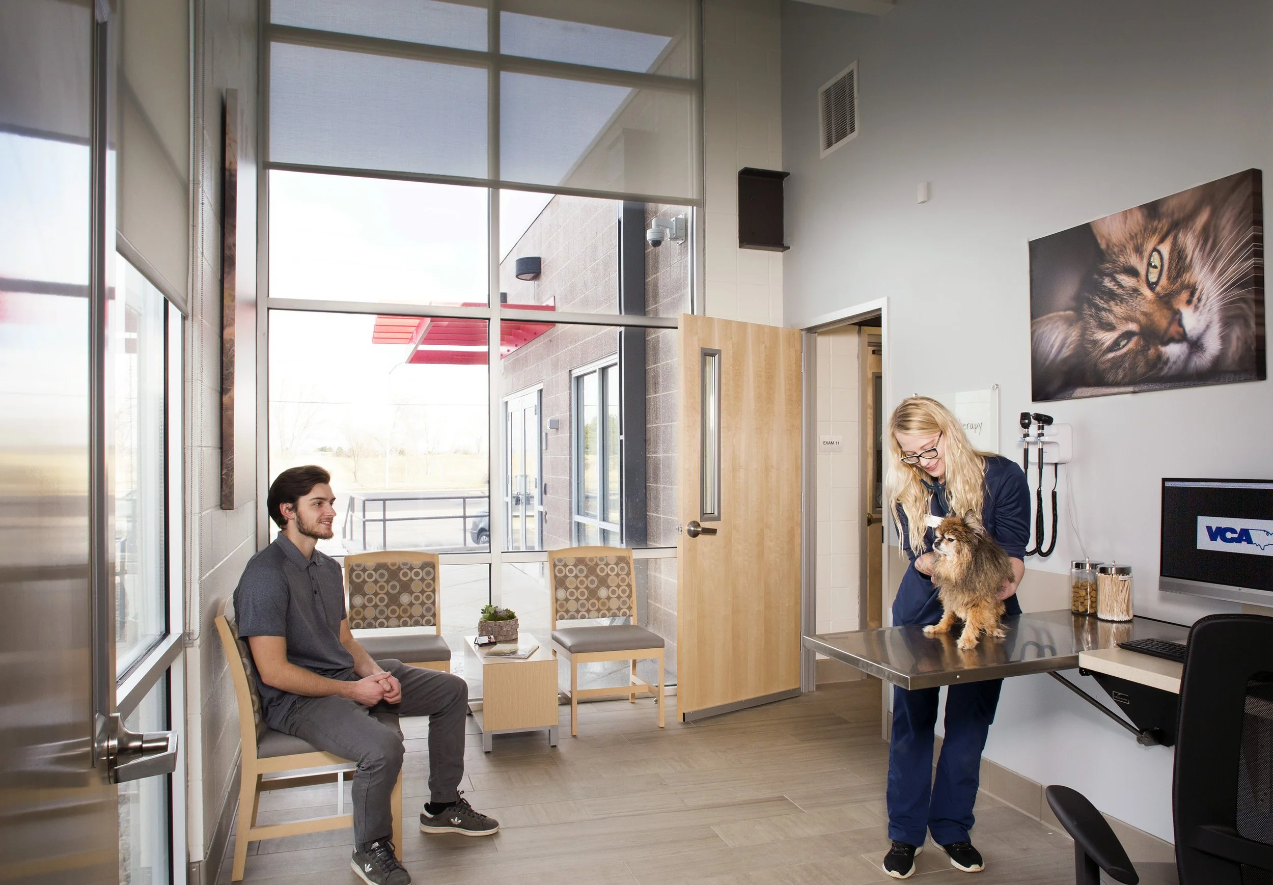 Emergency Vets Alameda East Animal Clinic DS Animal Planet