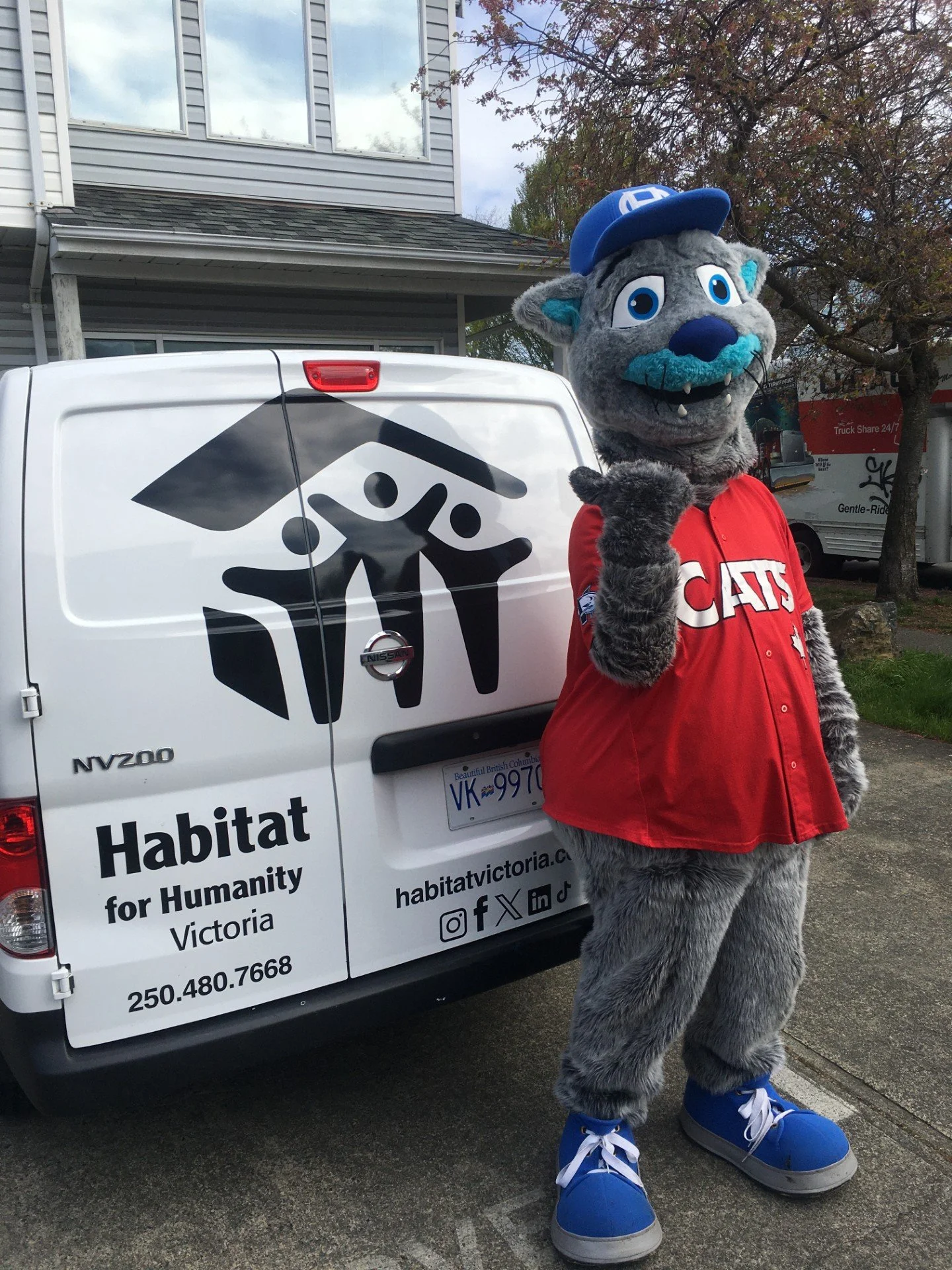 HarbourCats X Habitat Victoria