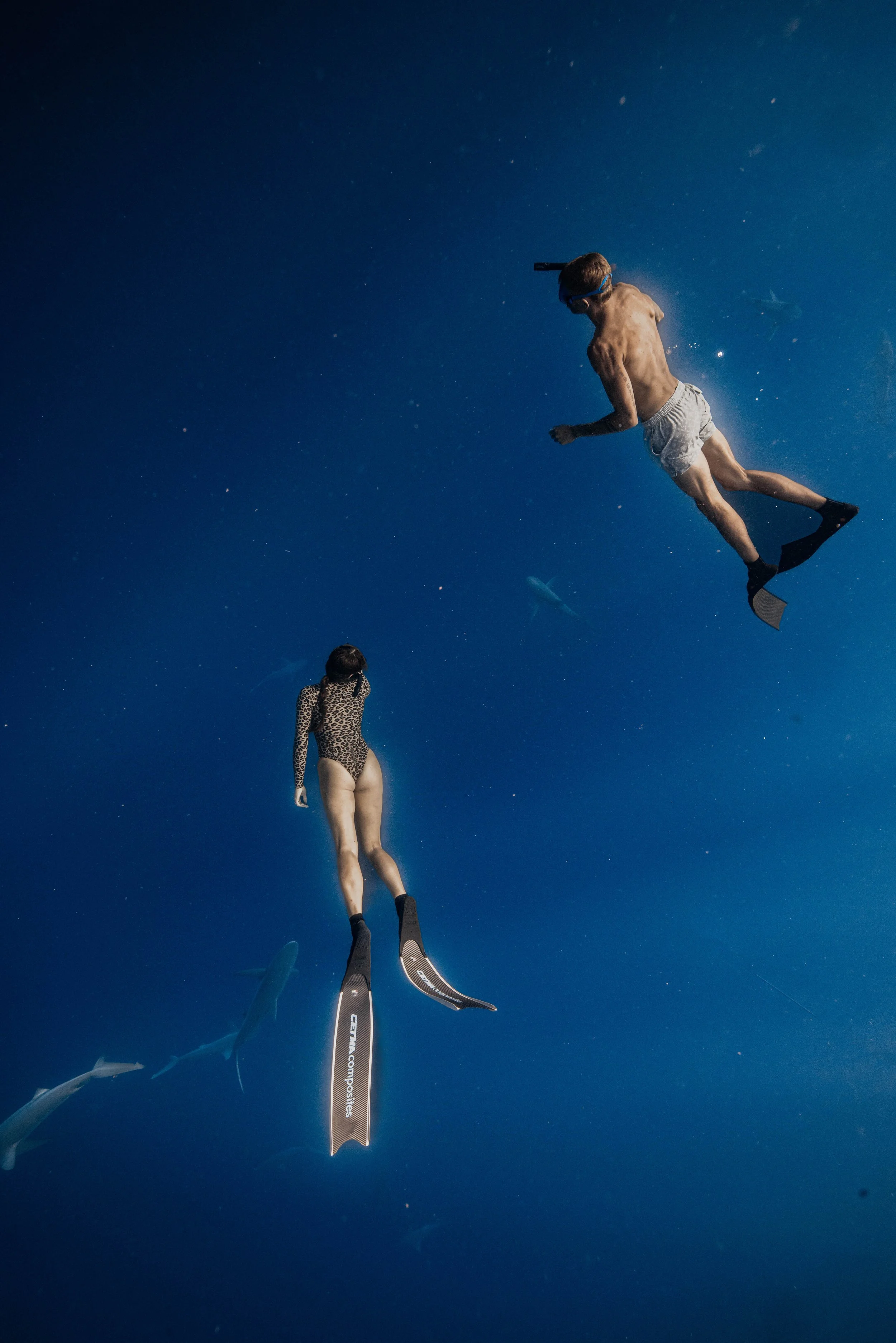 3D5A4214.jpg