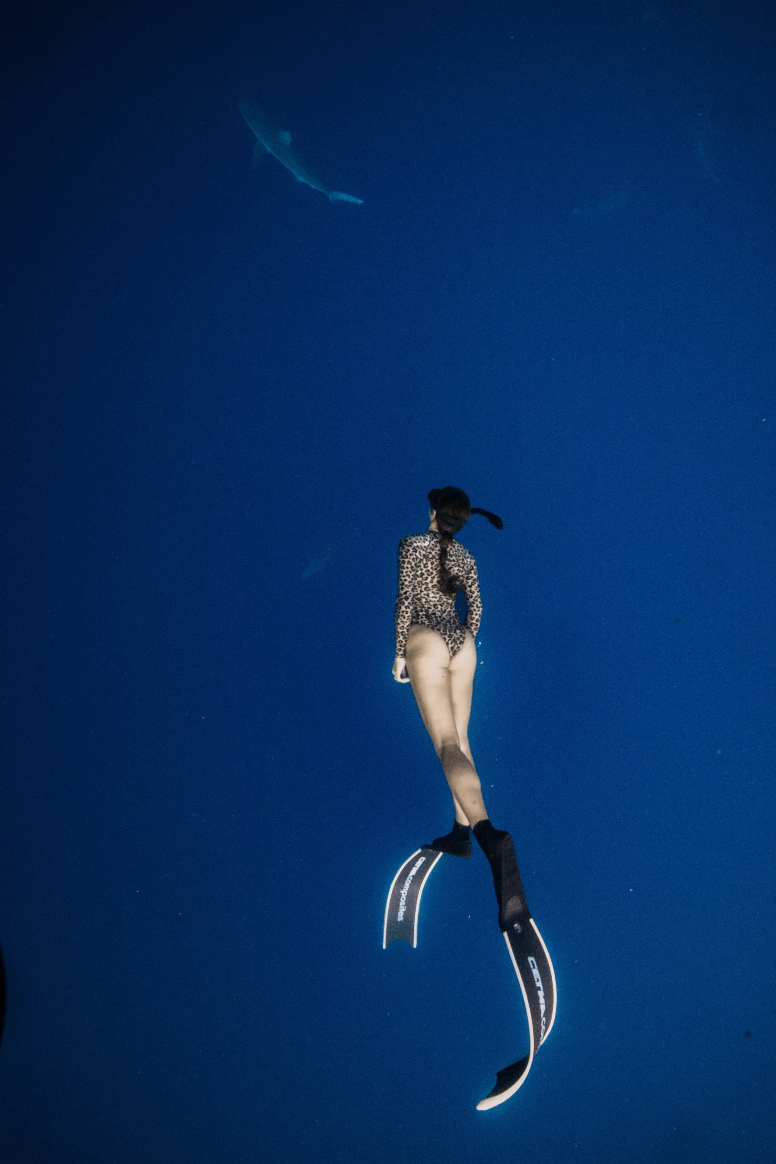 3D5A3514.jpg