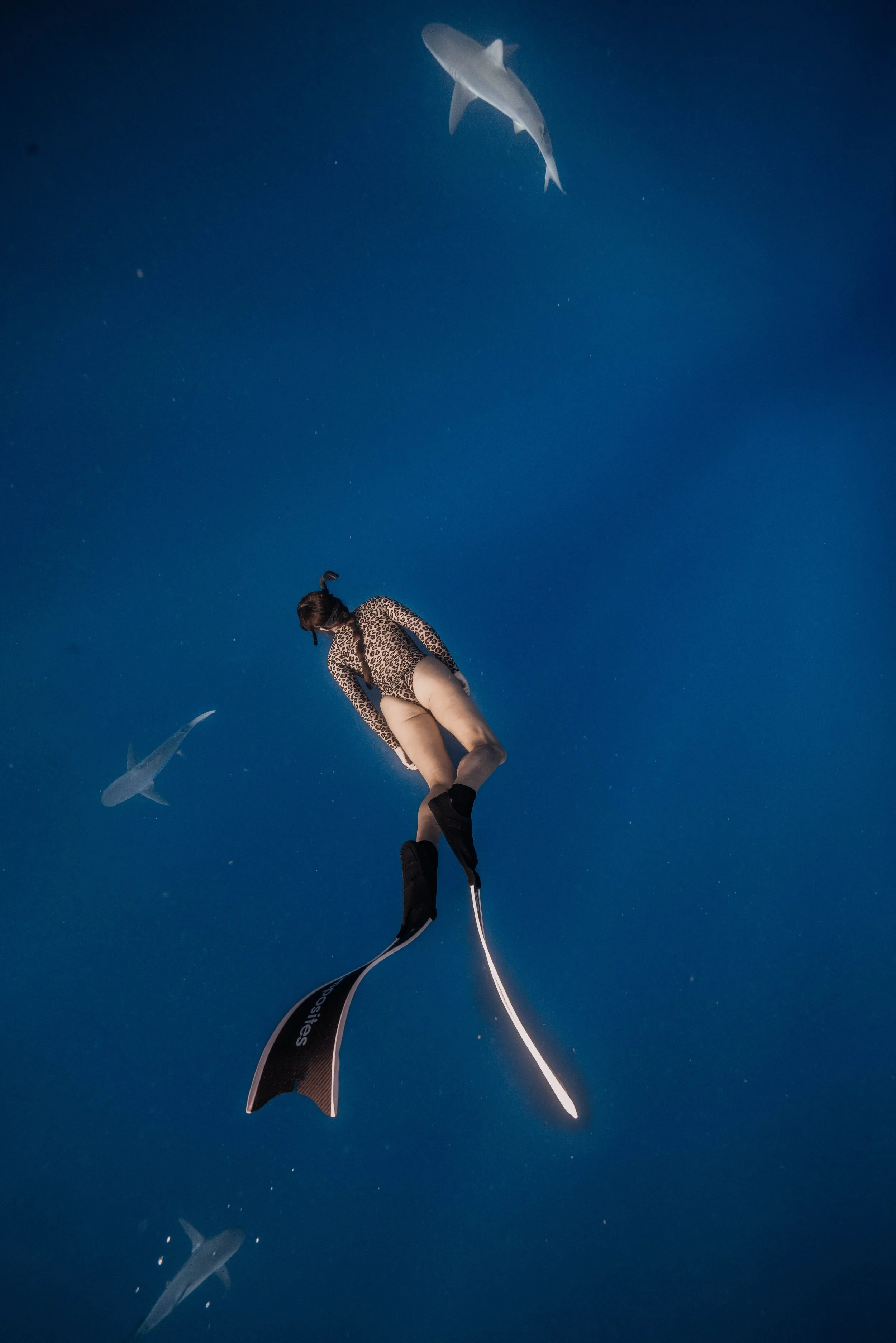 3D5A4672.jpg