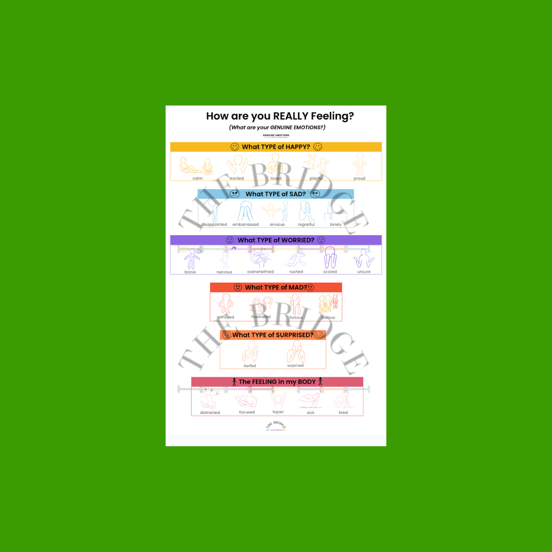 Abbreviated Binder Resource.png