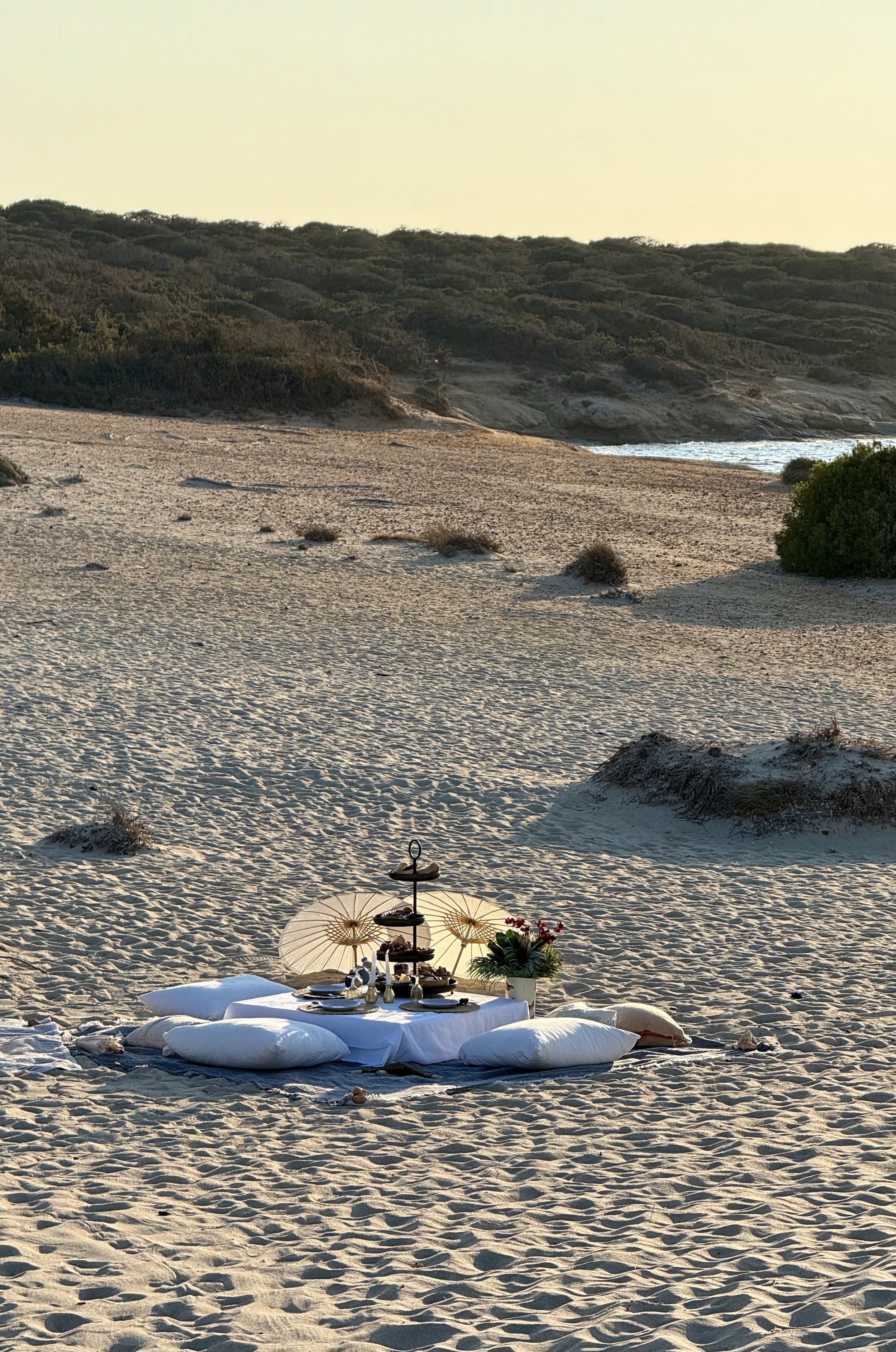 HAYA’S SURPRISE BIRTHDAY PARTY