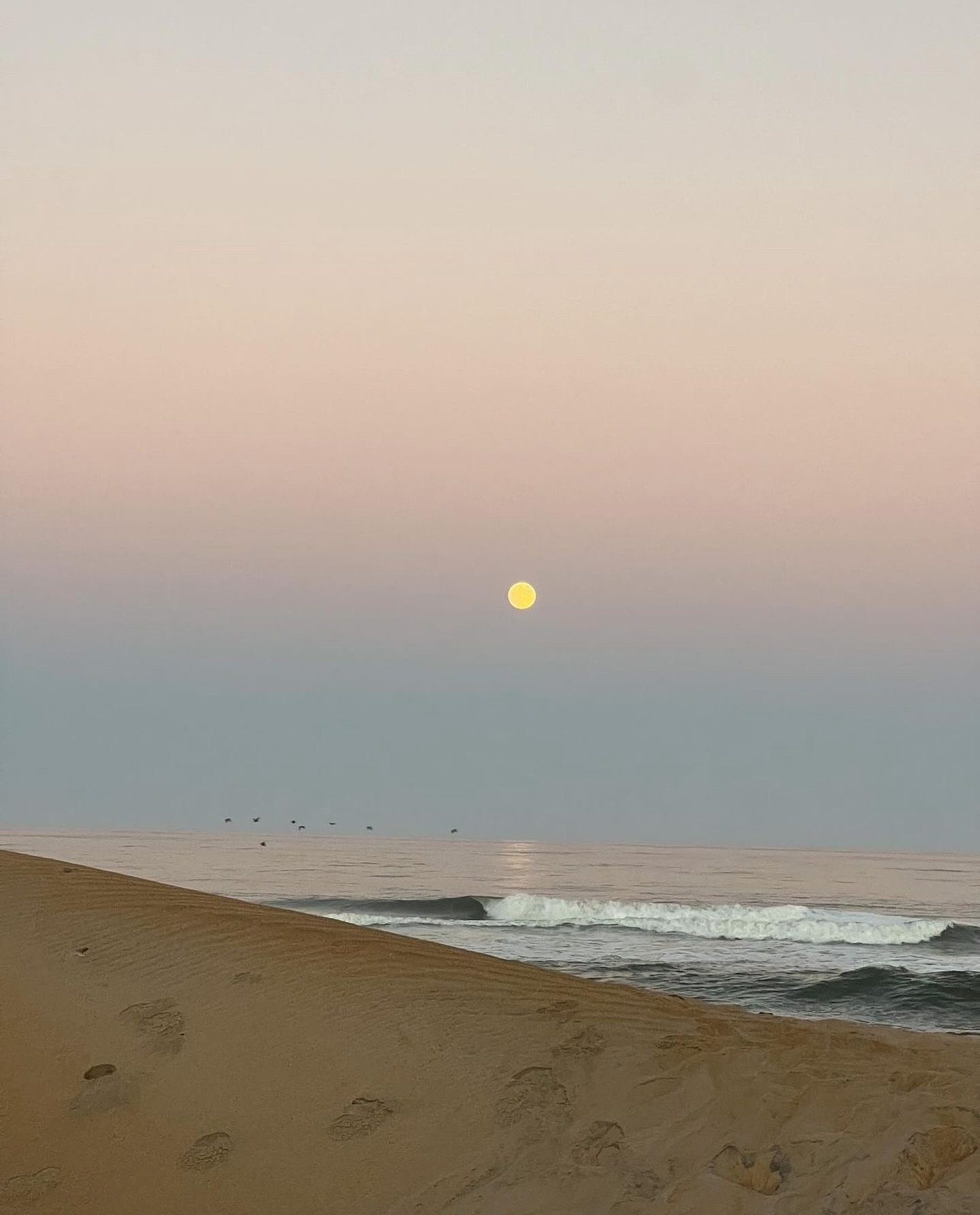 It&rsquo;s our 5th birthday! Meet us at Avalon Pier from 9-10am for a beach cleanup followed by a full day of sales, drinks, and giveaways at the shop. For those shopping from a distance, take 20% off online with code: 5YEARS 🫶

Image via @stepholej