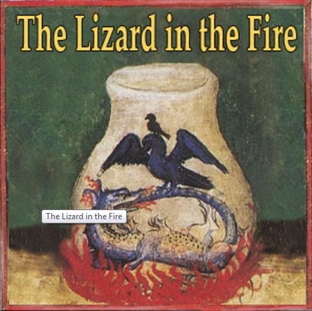 The Lizard in the Fire.JPG