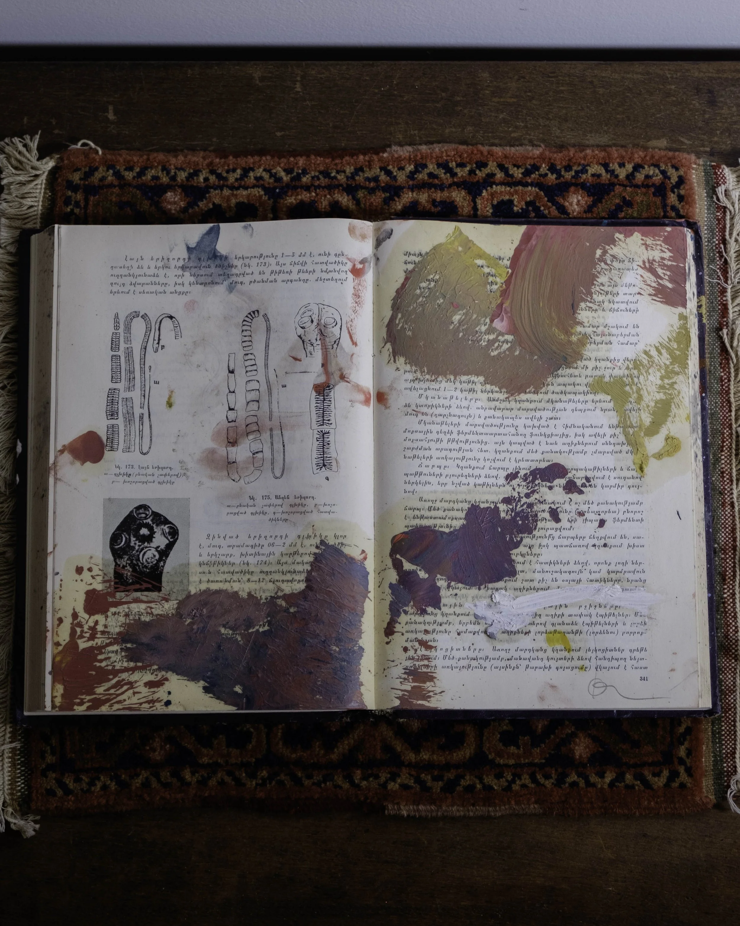 DSCF2037-2.jpg