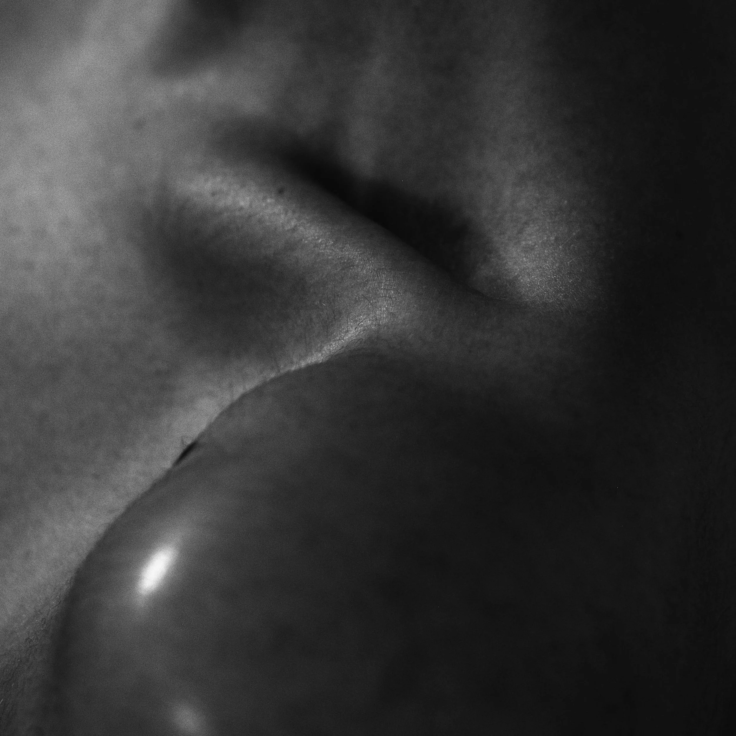 Untitled-231.jpg