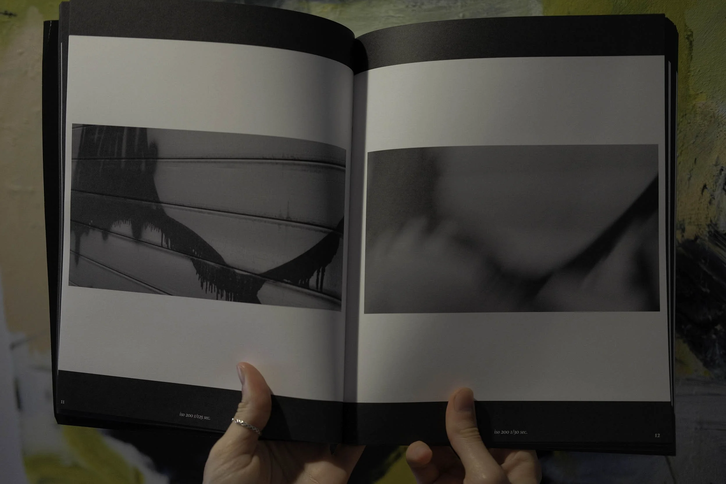 Torcomian Painting & Photography softcover book self-published in 2023