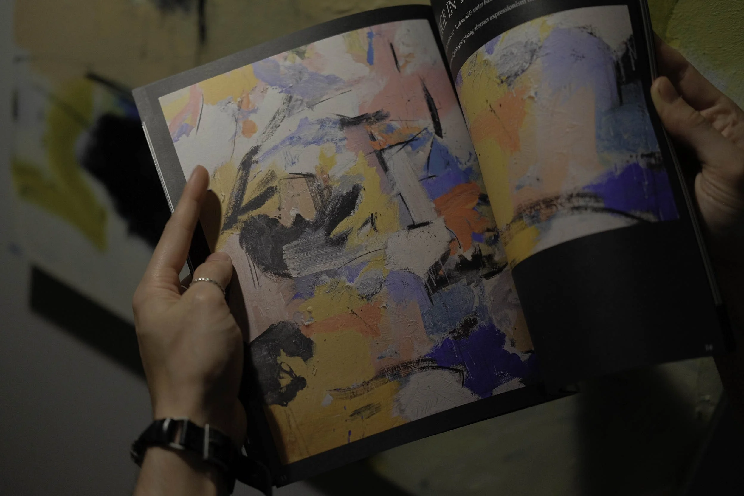 Torcomian Painting & Photography softcover book self-published in 2023