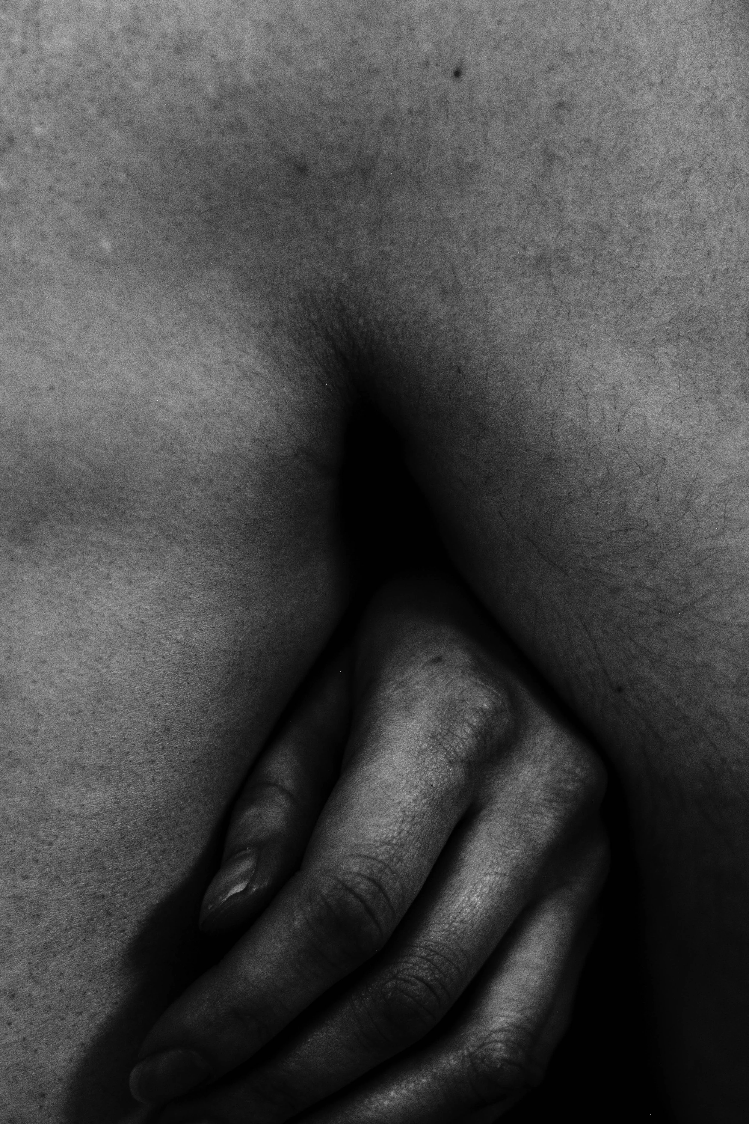 Untitled-243.jpg