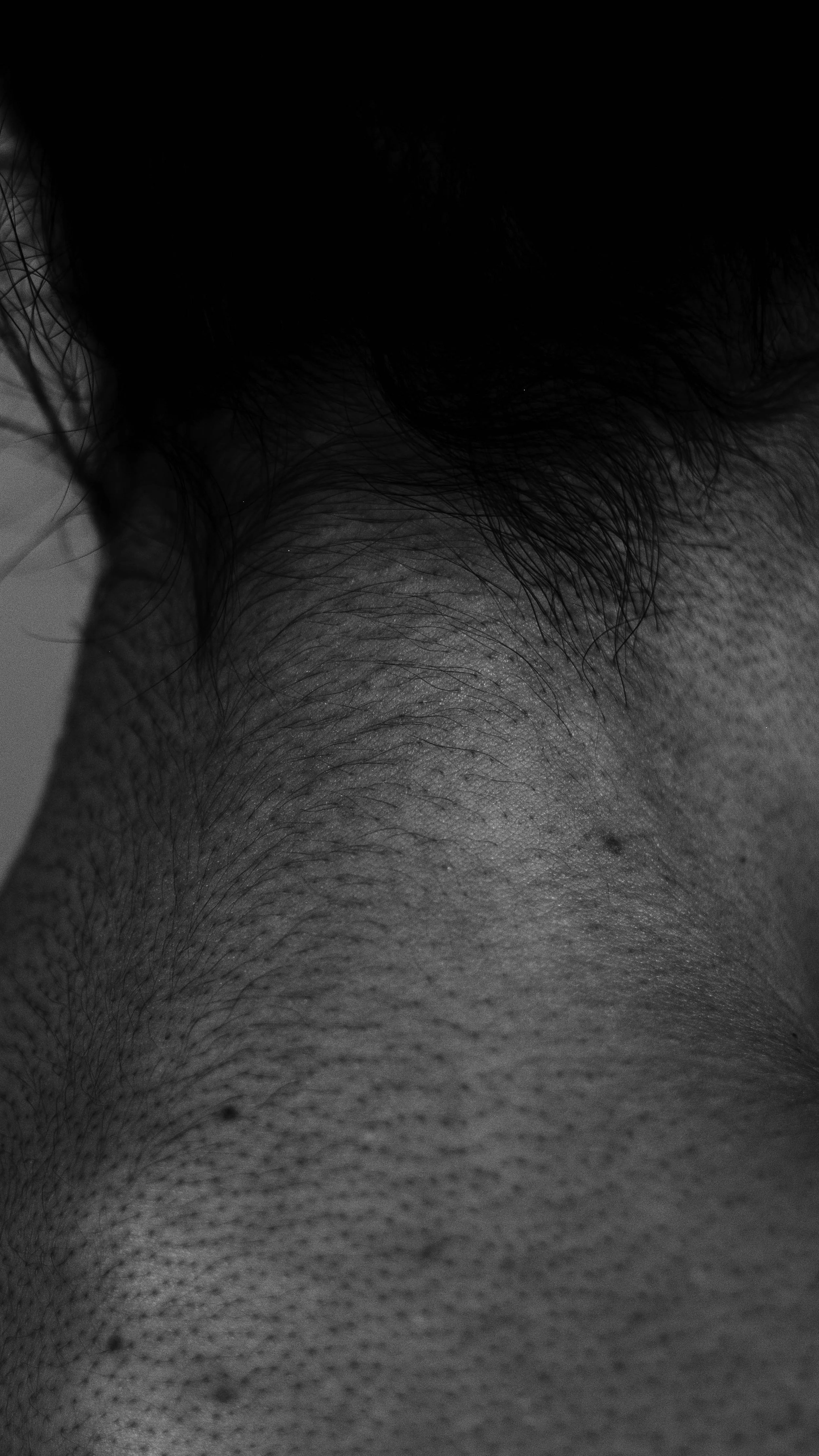 Untitled-185.jpg