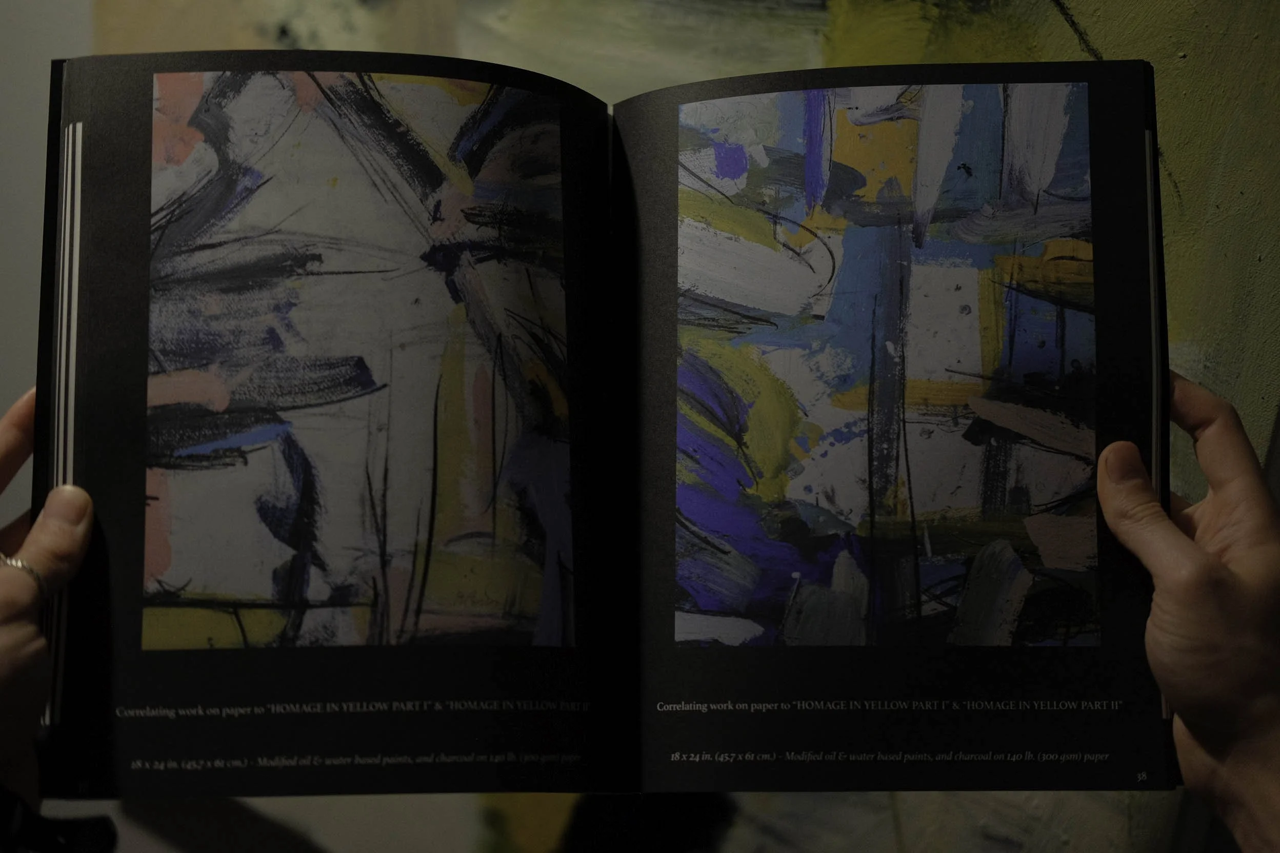 Torcomian Painting & Photography softcover book self-published in 2023