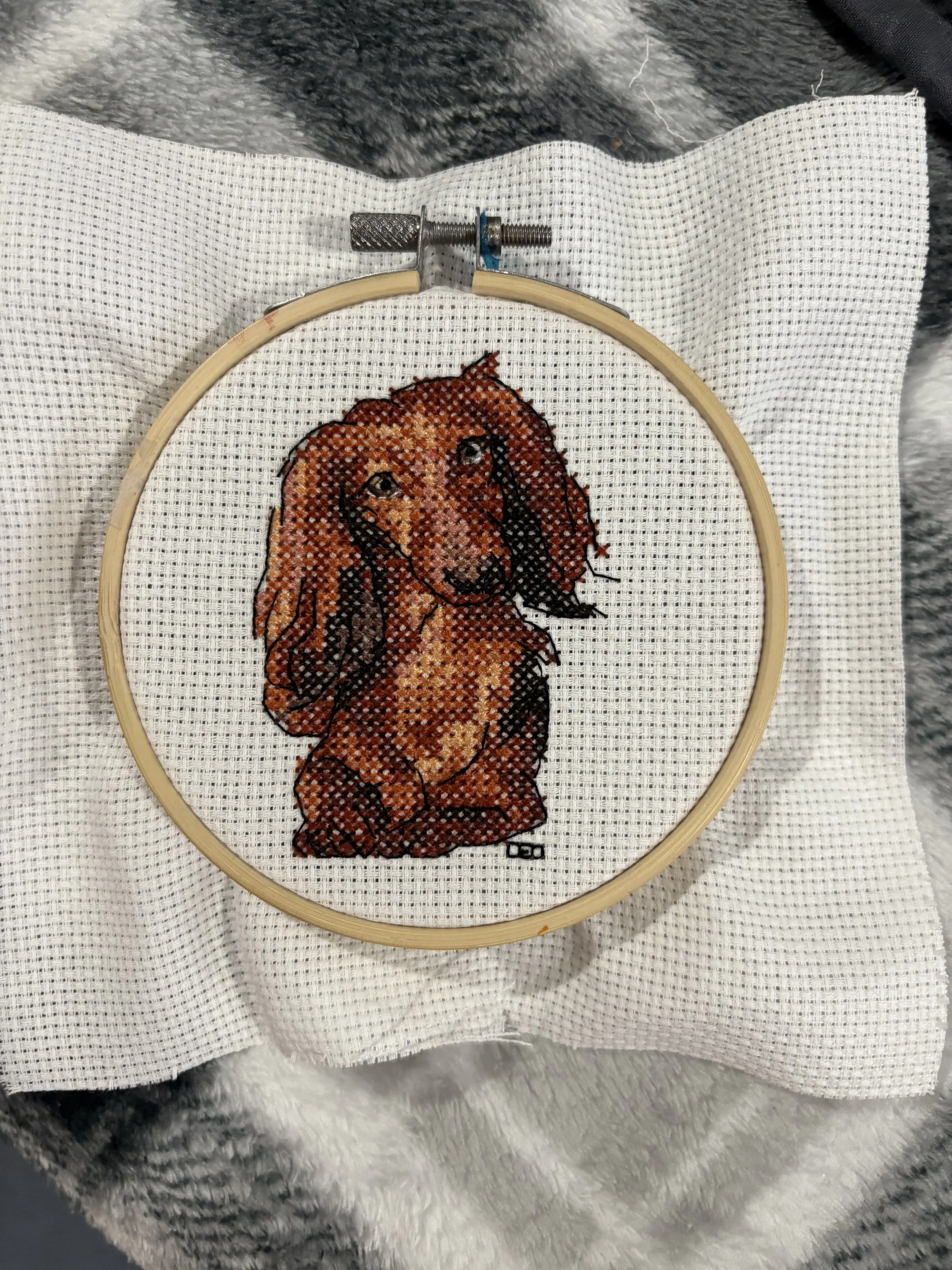 2024 - Portrait of our family dachshund; Christmas gift for my father; adapted from a pattern