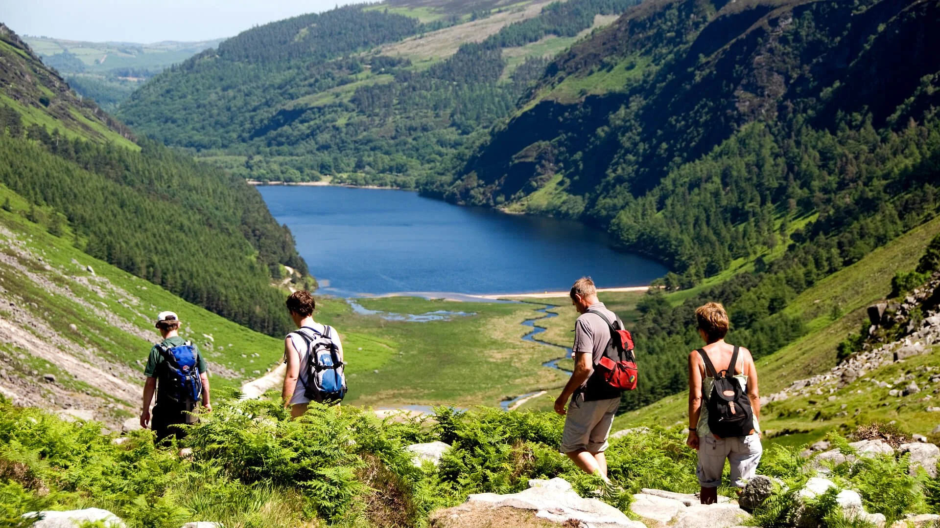 wicklow3ireland.jpg